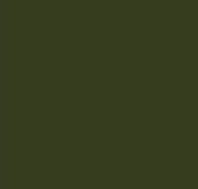 AK Interactive 11342 AFV Series: Dark Green FS34102 3G Acrylic Paint 17ml Bottle