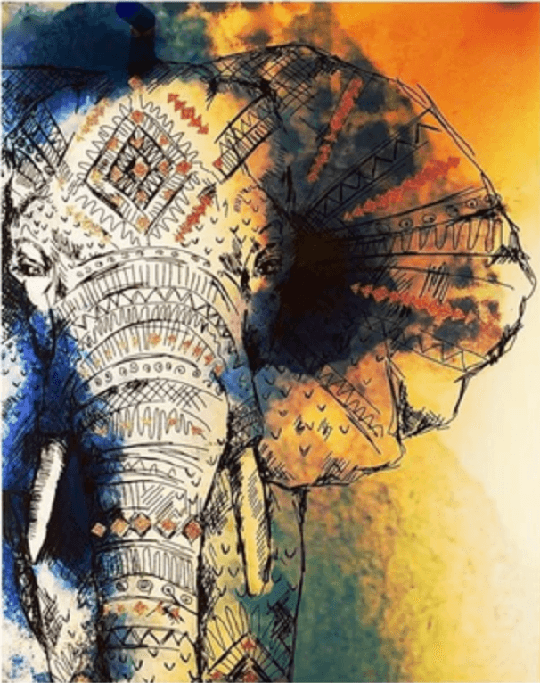 African Elephant