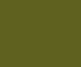 AK Interactive 11335 AFV Series: Nº1 Light Green FS34151 3G Acrylic Paint 17ml B