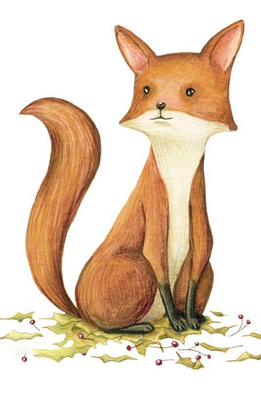 Baby Fox