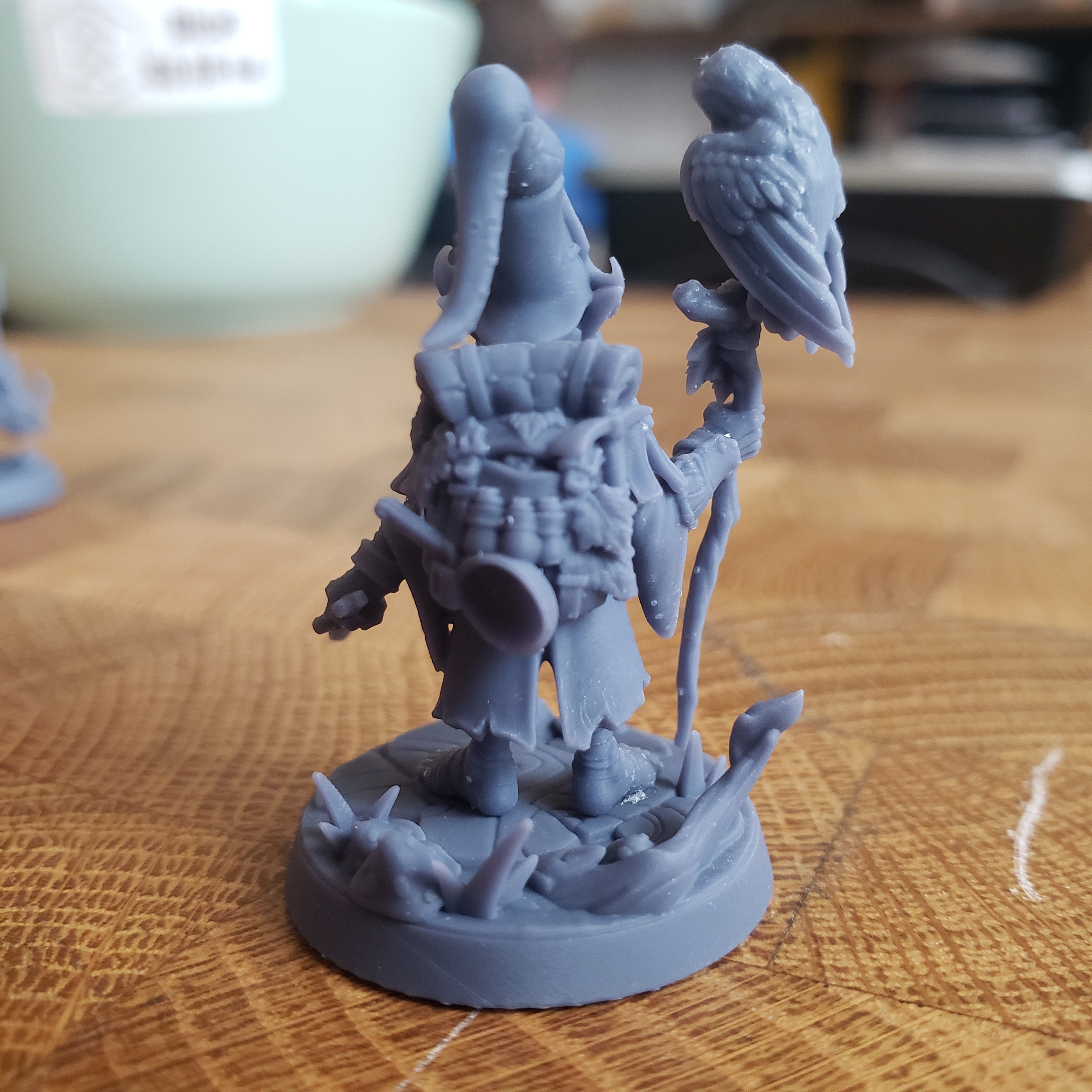 Baggo Elderleaf (Male Gnome Wizard)