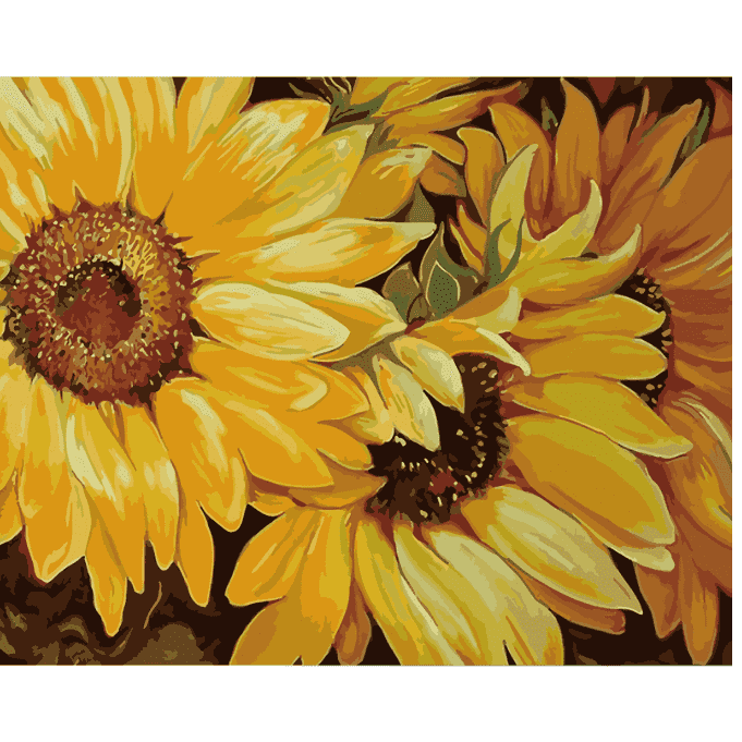 Blossom Sunflowers