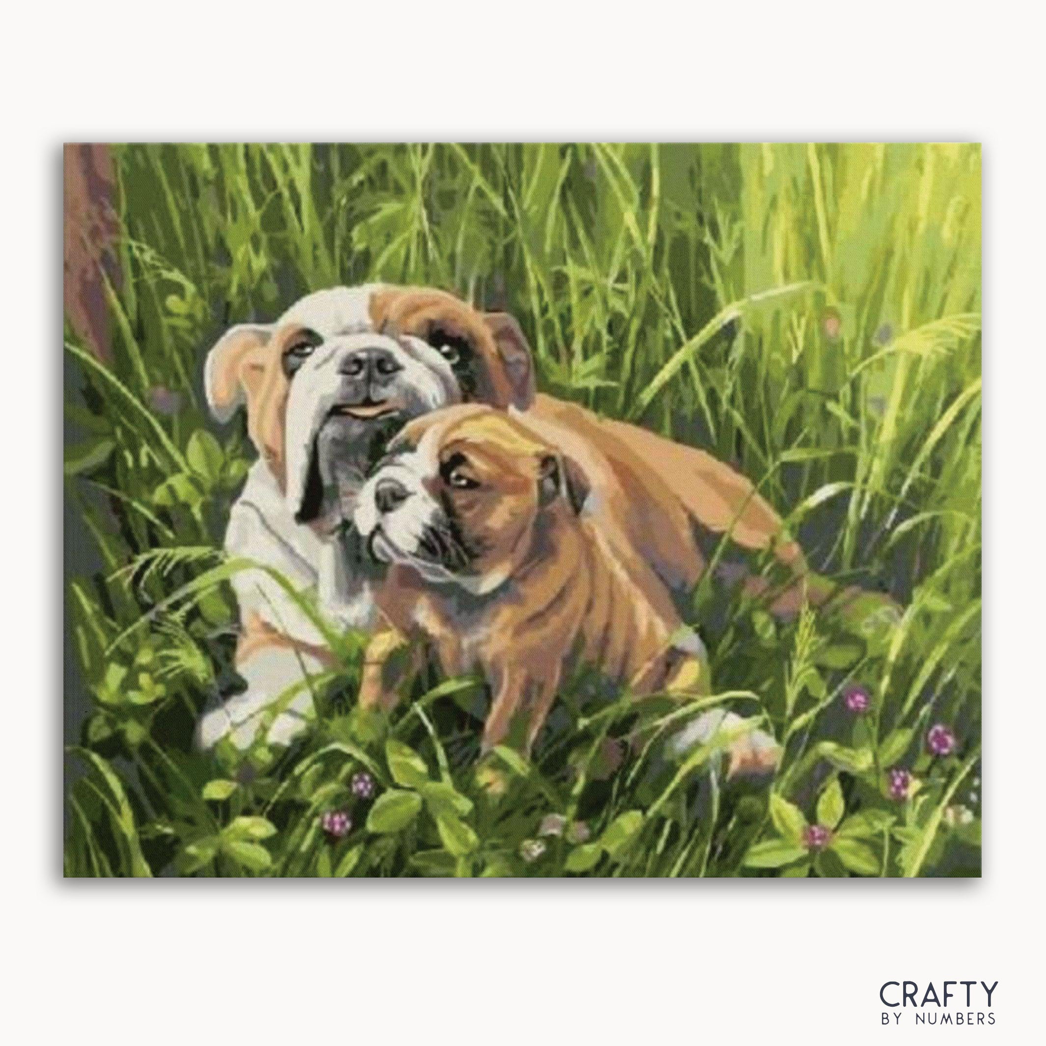 Bulldog with Puppy