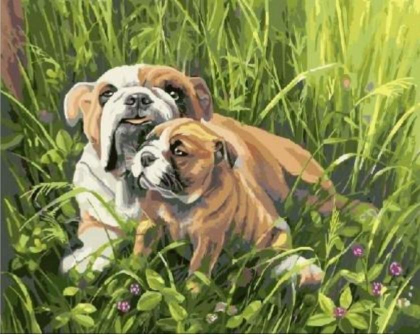 Bulldog with Puppy