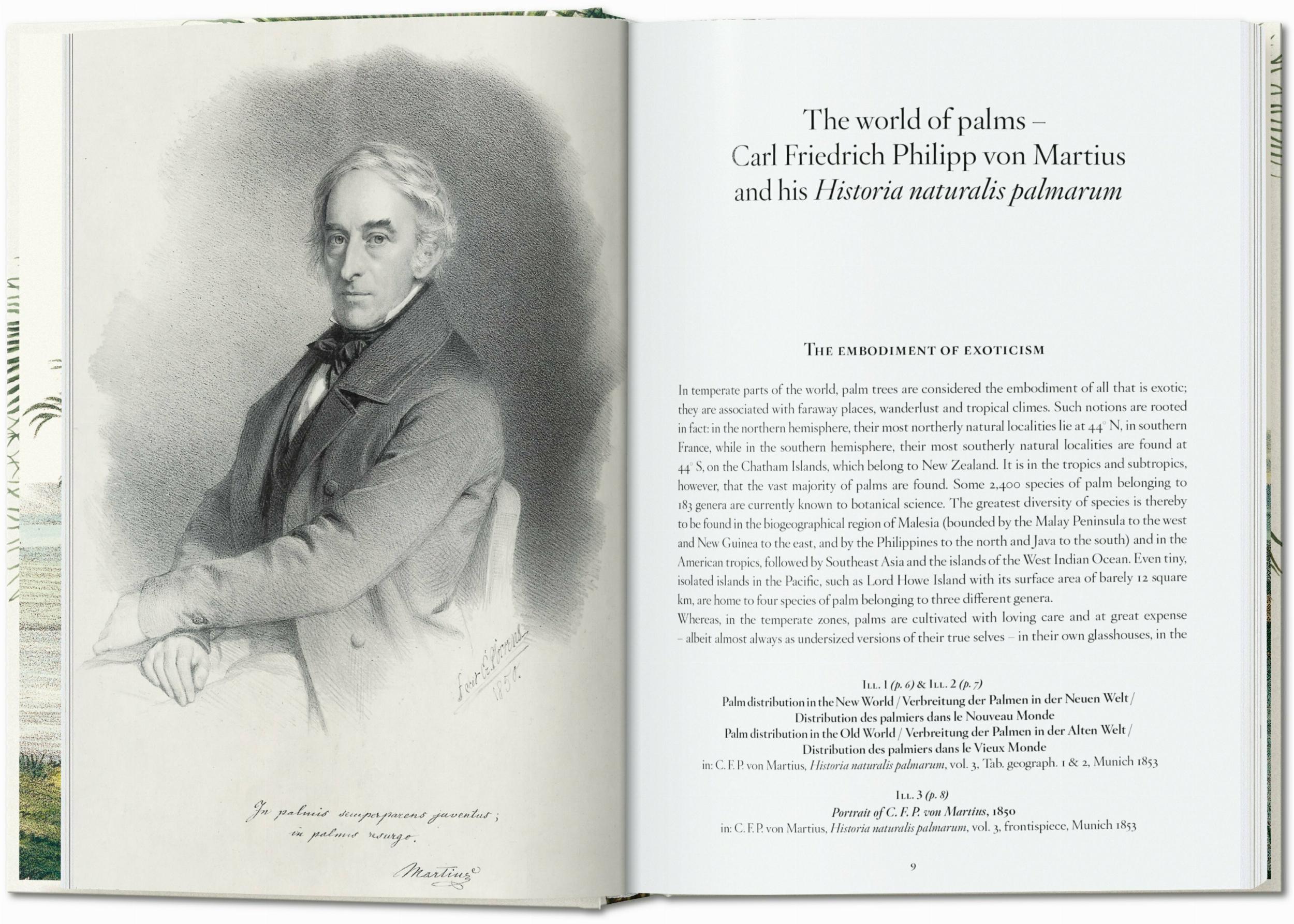 Martius. El libro de las palmeras. 45th Ed. (Spanish, Italian, Portuguese)
