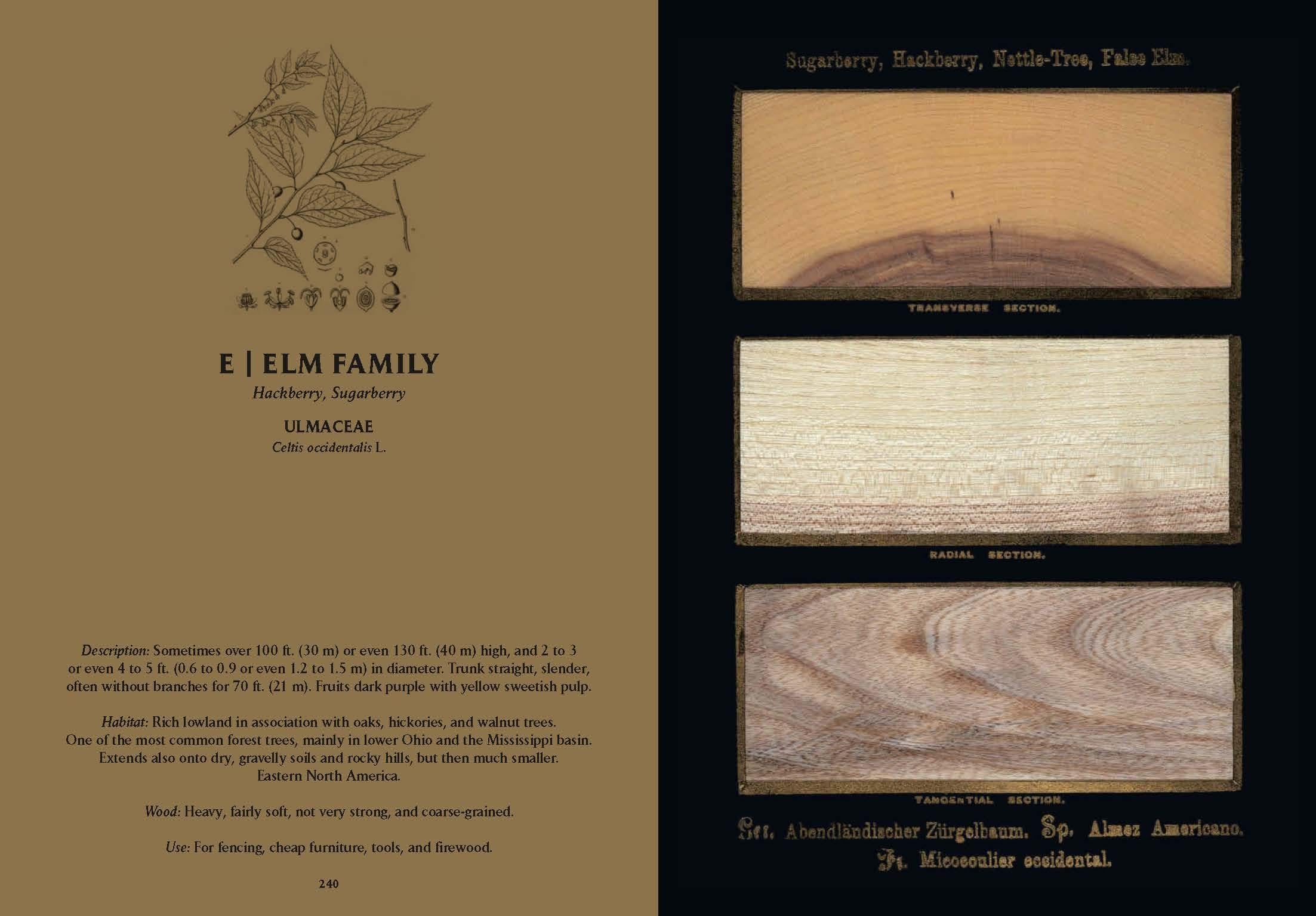 Romeyn B. Hough. The Woodbook. The Complete Plates (English)