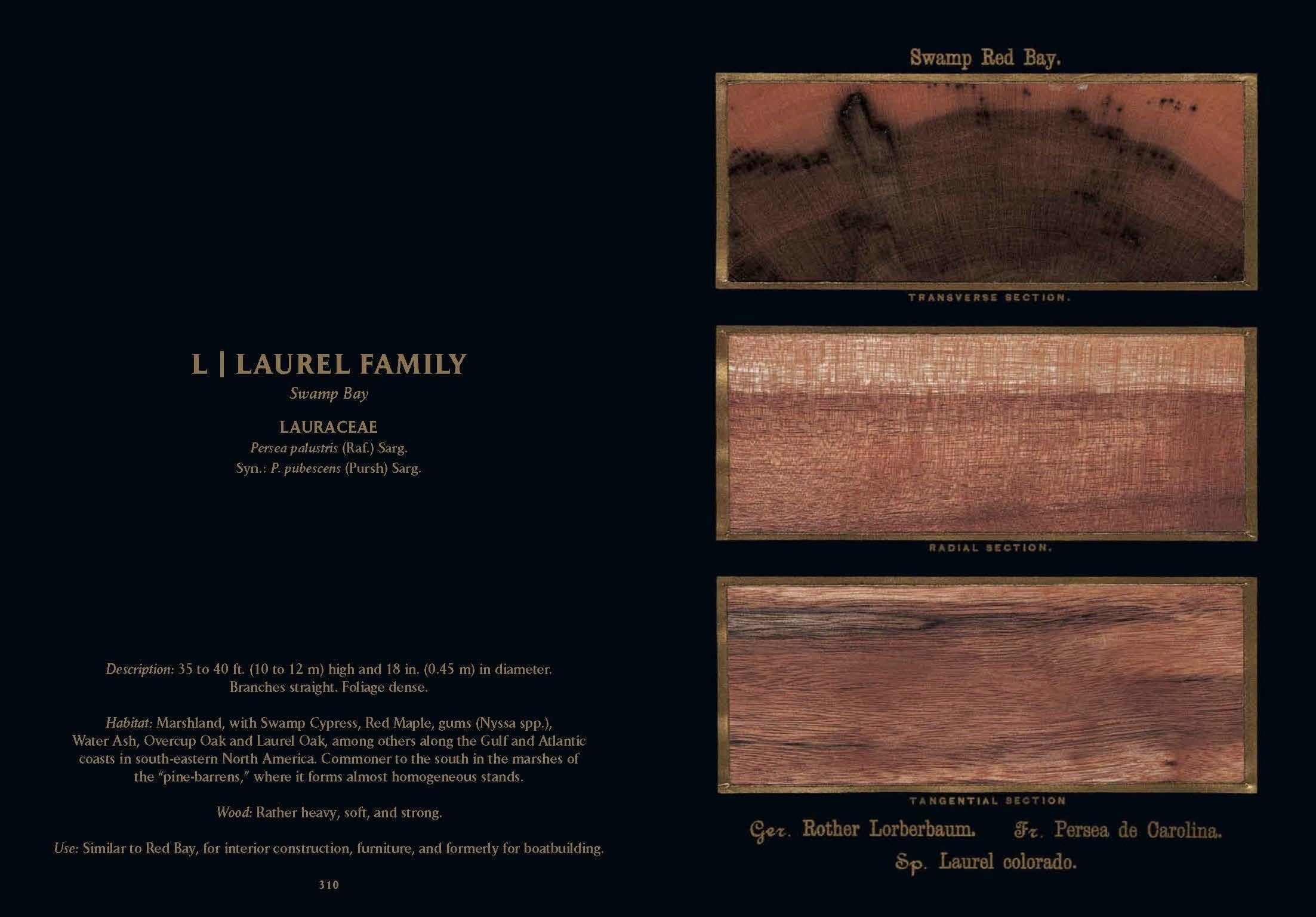 Romeyn B. Hough. The Woodbook. The Complete Plates (English)