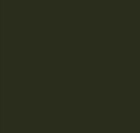 AK Interactive 11308 AFV Series: Green RAL6007 3G Acrylic Paint 17ml Bottle