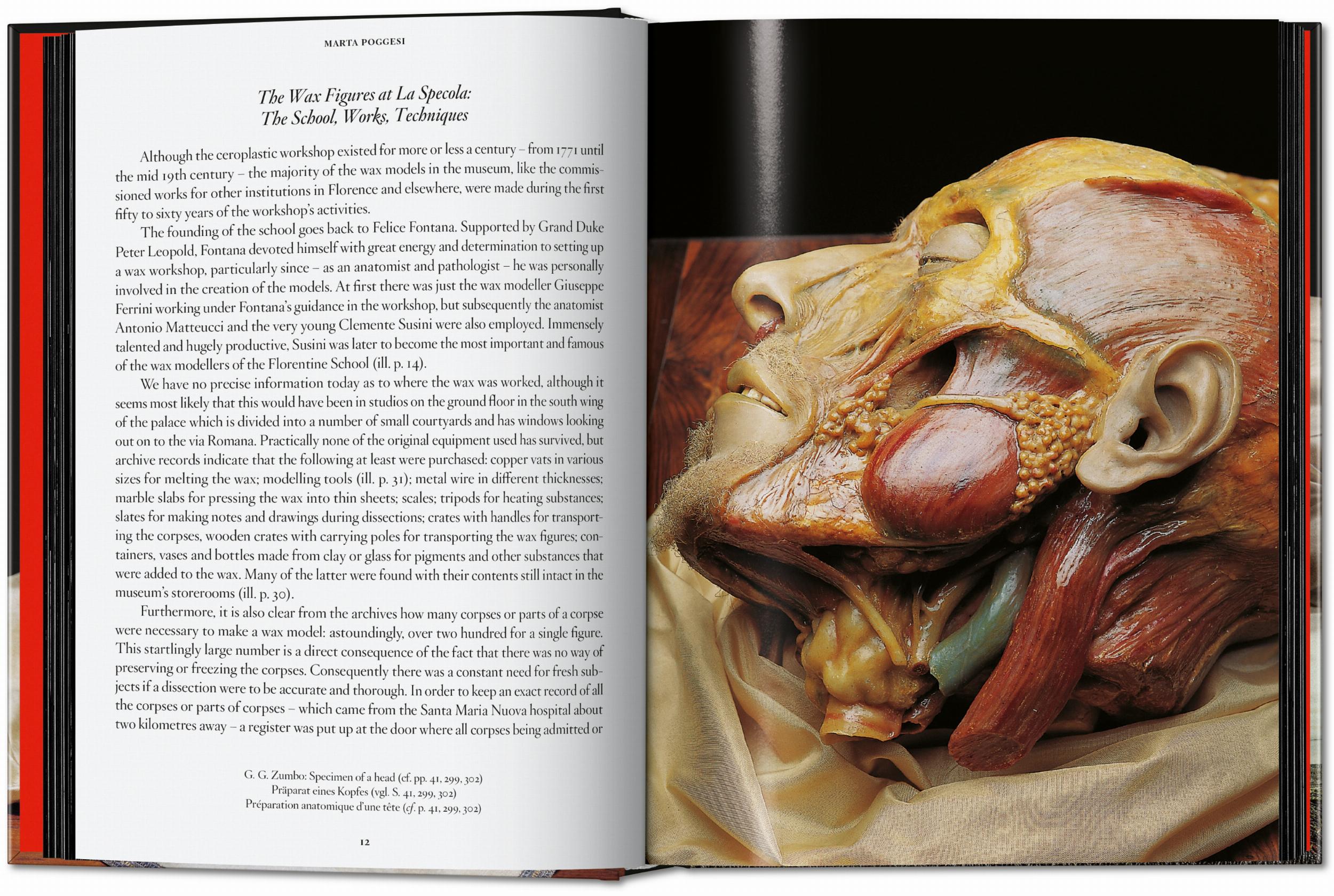 Anatomical Waxes. 45th Ed. (German, French, English)