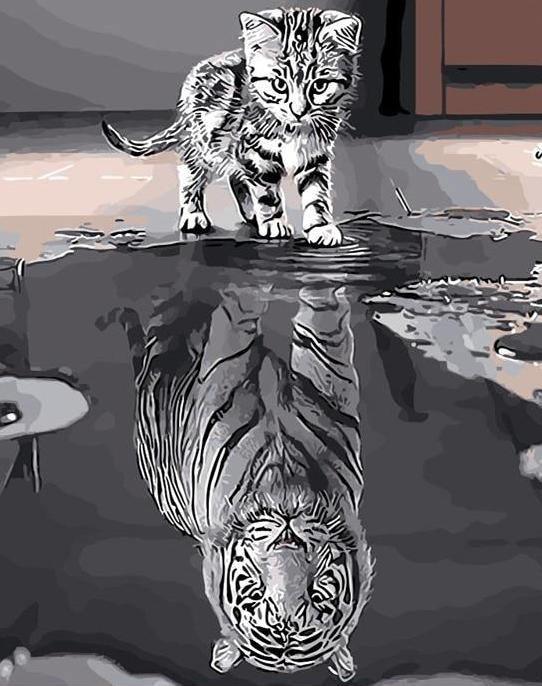 Cat & Tiger Reflection