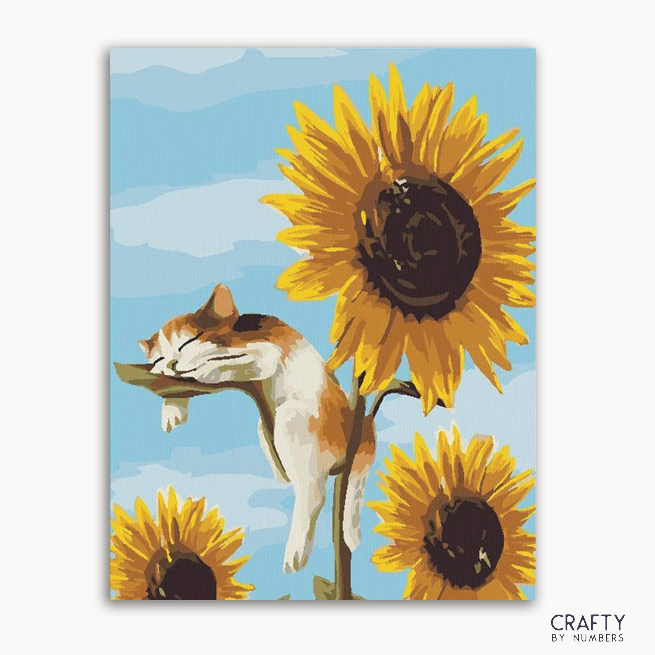 Cat Sleeping on Sunflower