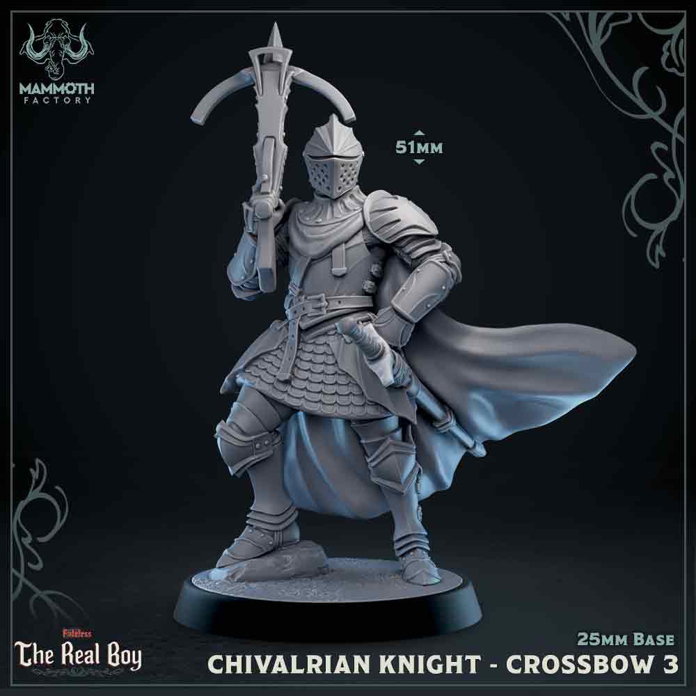 Chivalrian Knight with Crossbow 3 (Paladin)