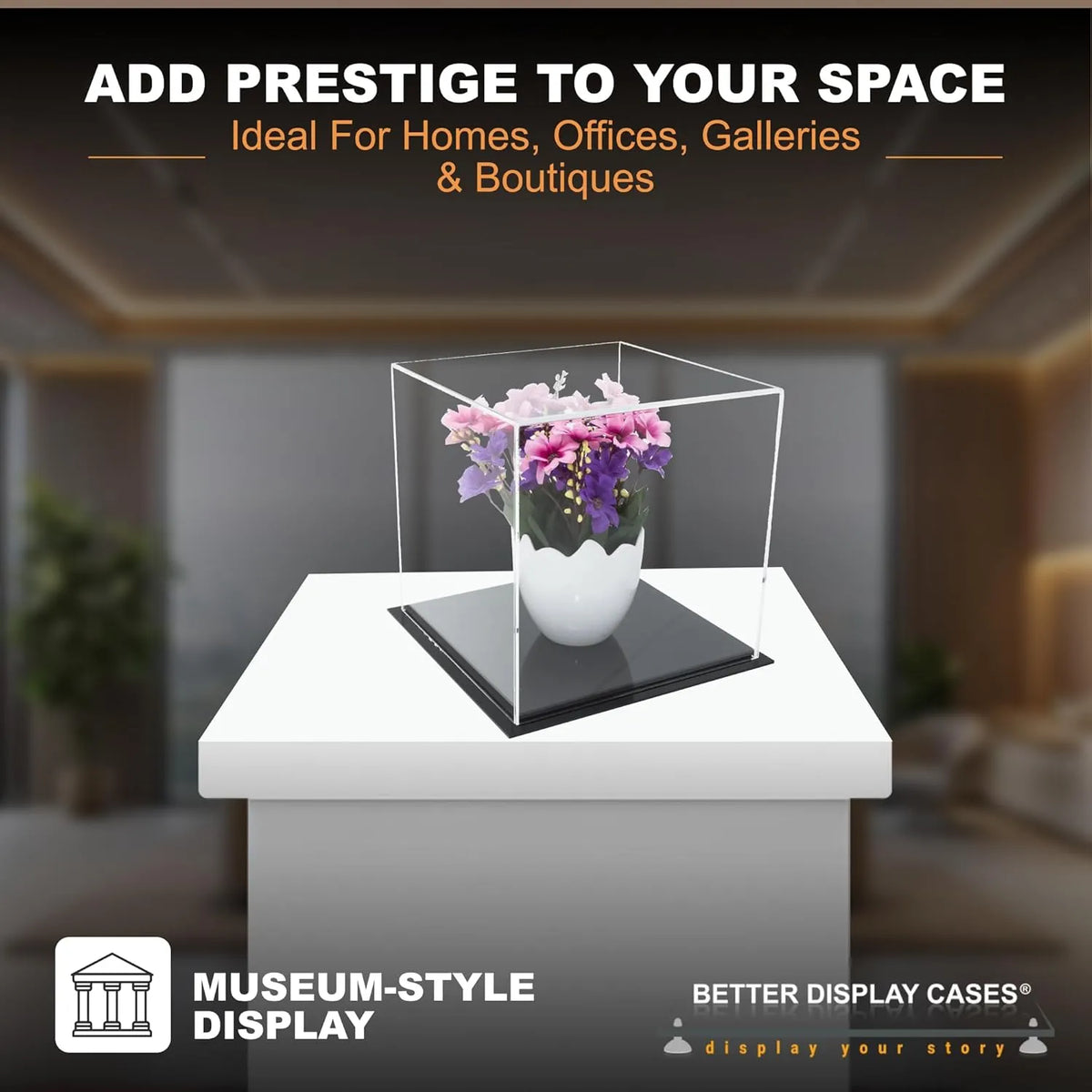 Versatile Acrylic Display Cases with Double Sheet Base with Clear Case