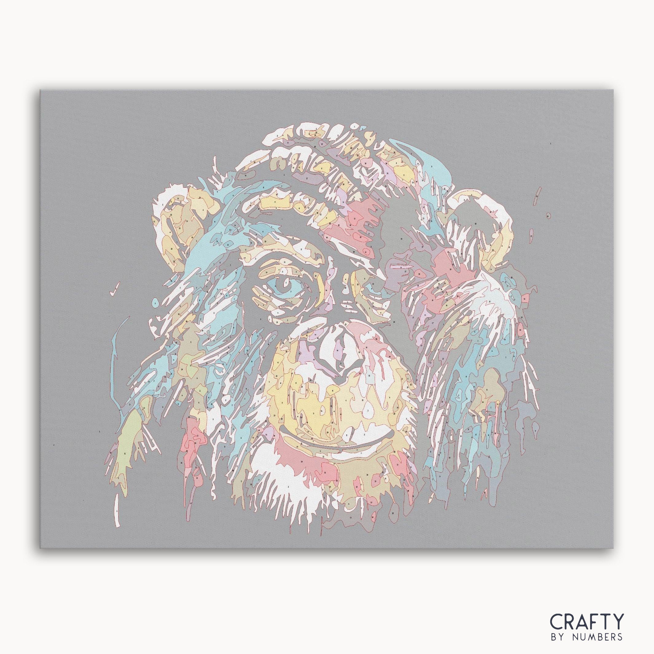 Colorful Monkey