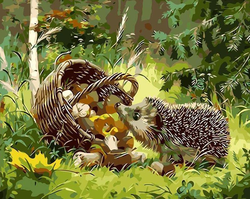 Curious Hedgehog