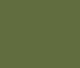 AK Interactive 11311 AFV Series: Reseda Green RAL6011 3G Acrylic Paint 17ml Bott