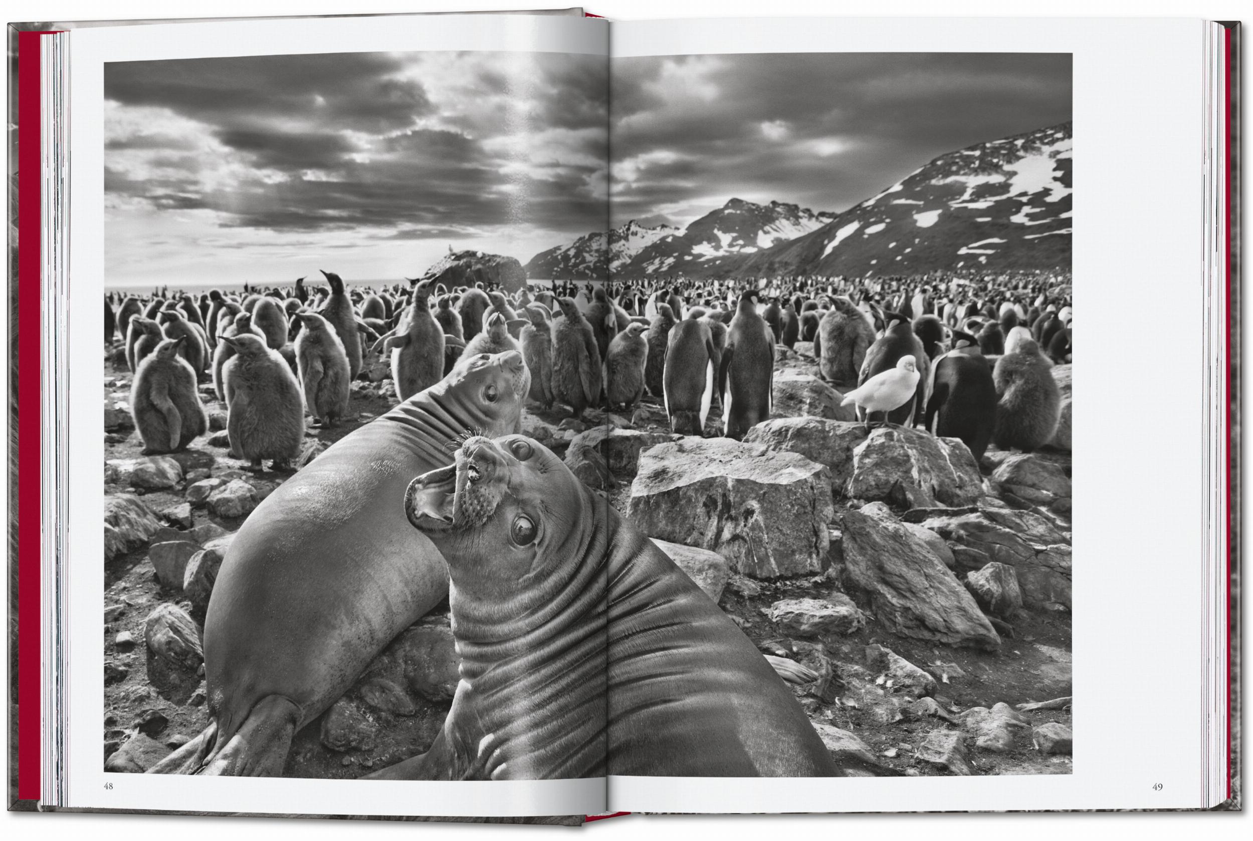 Sebastião Salgado. Genesis. 45th Ed. (English)