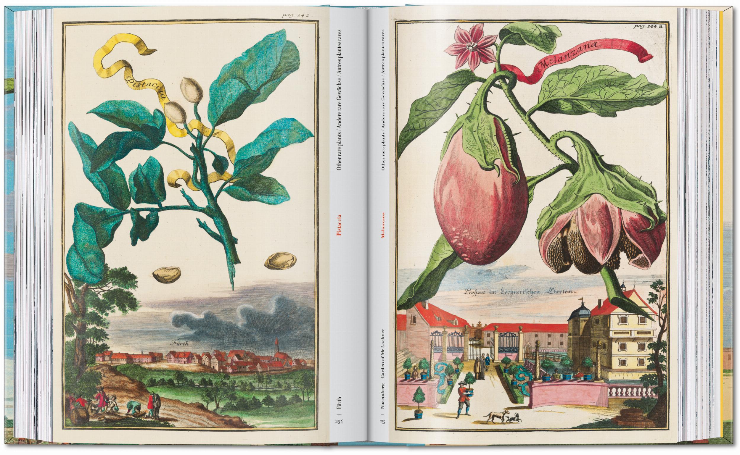 J. C. Volkamer. The Book of Citrus Fruits. 45th Ed. (German, French, English)