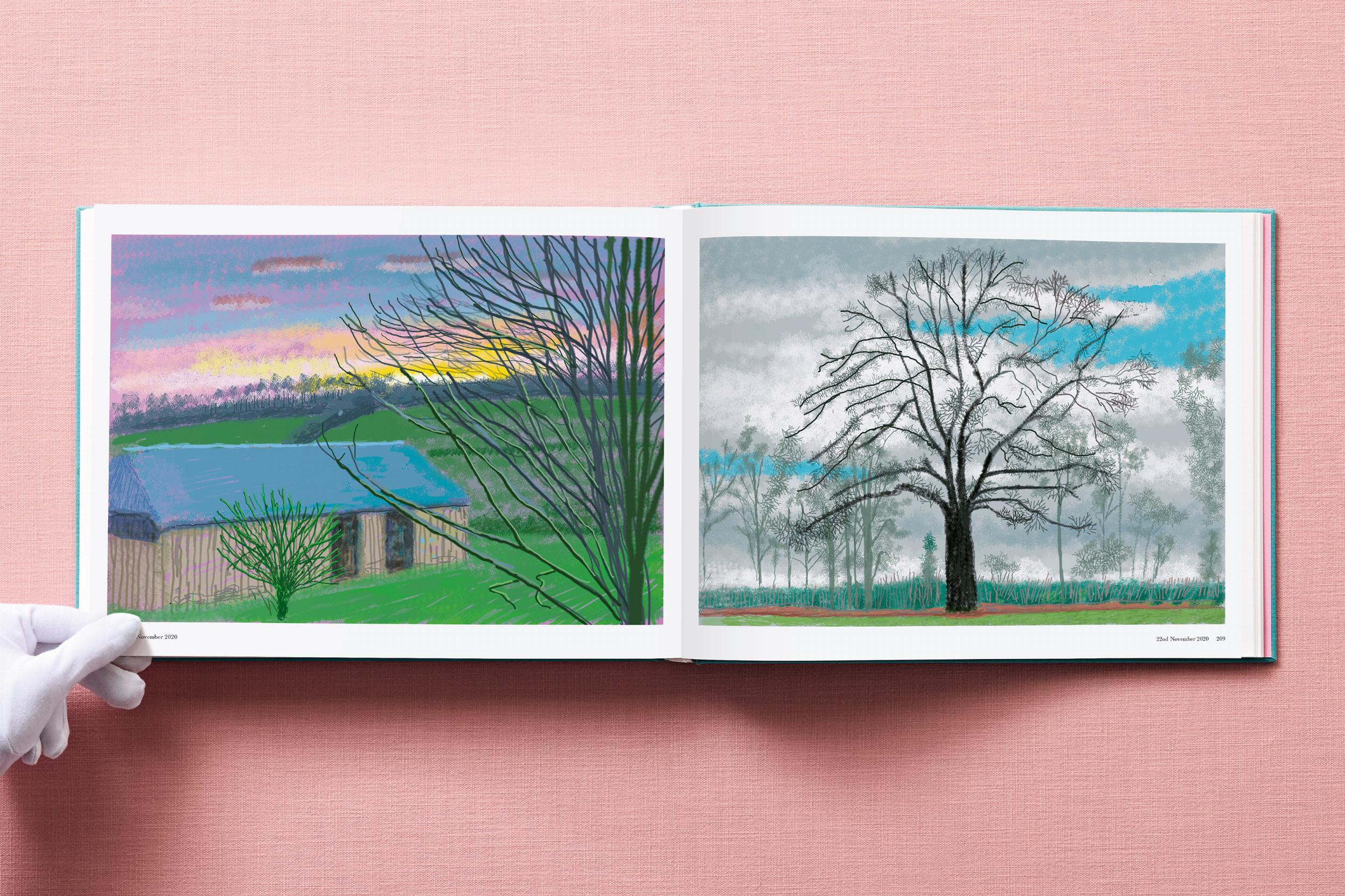 David Hockney. 220 for 2020 (English)