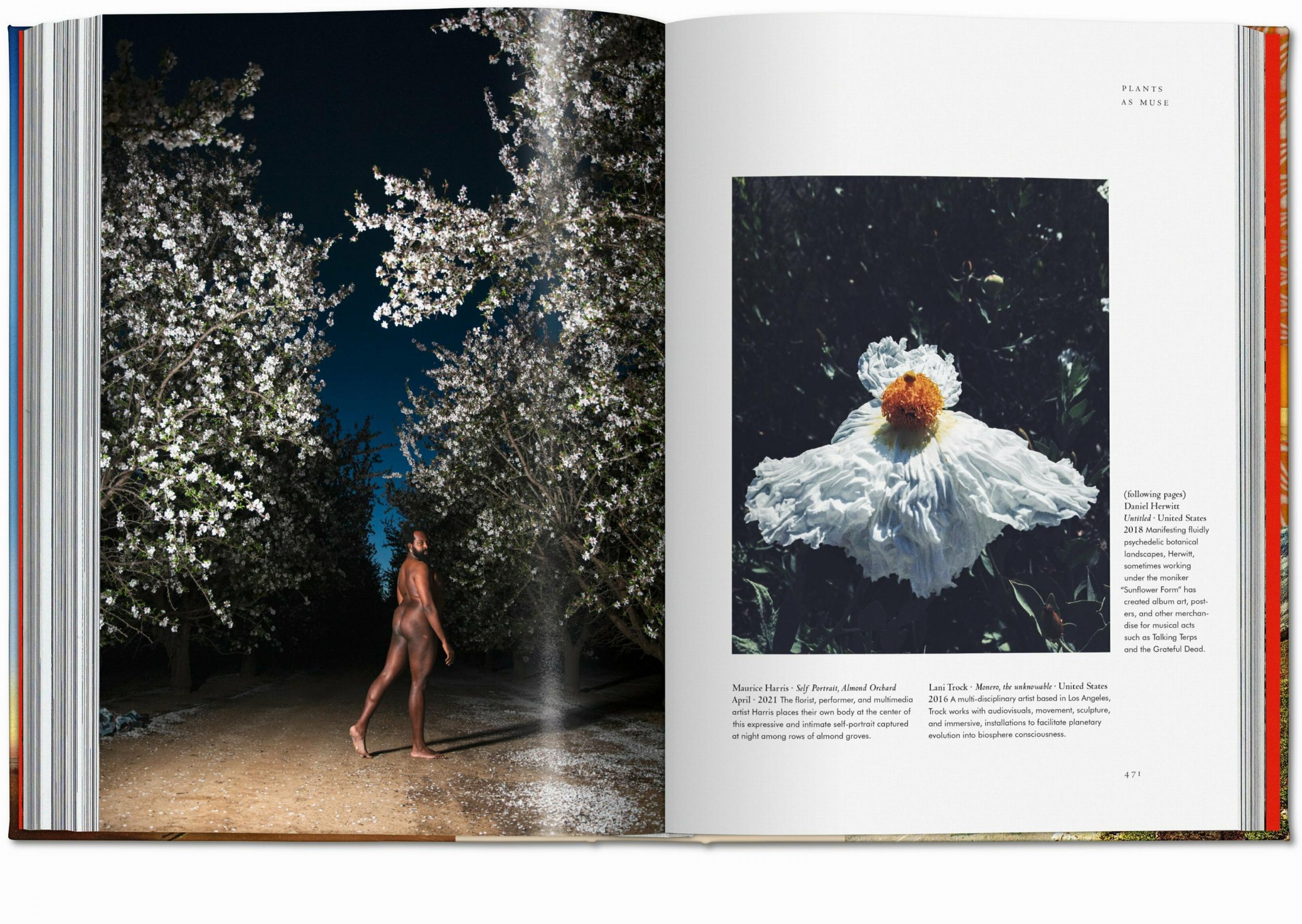 Plant Magick. The Library of Esoterica (English)