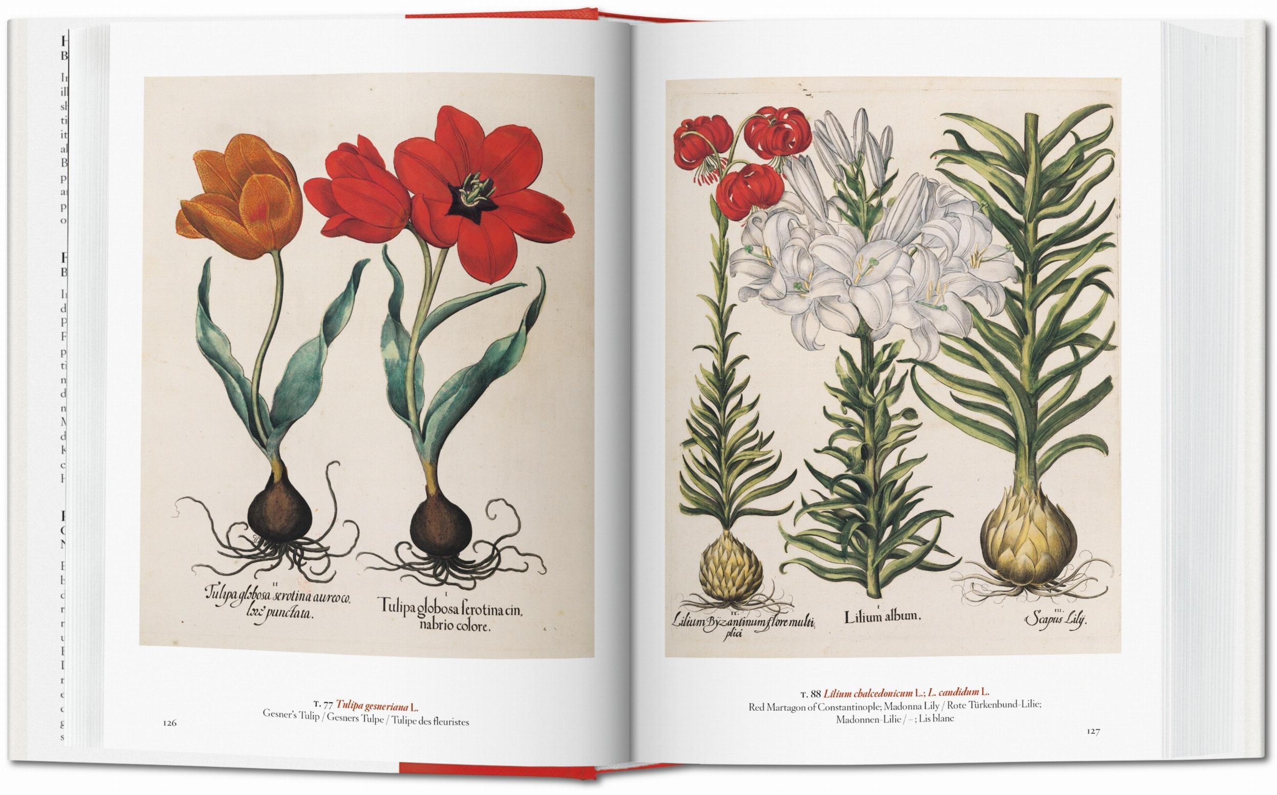 A Garden Eden. Masterpieces of Botanical Illustration. 45th Ed. (German, French, English)