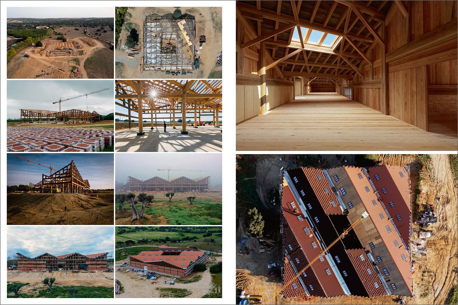 Ai Weiwei. Updated Edition (German, French, English)