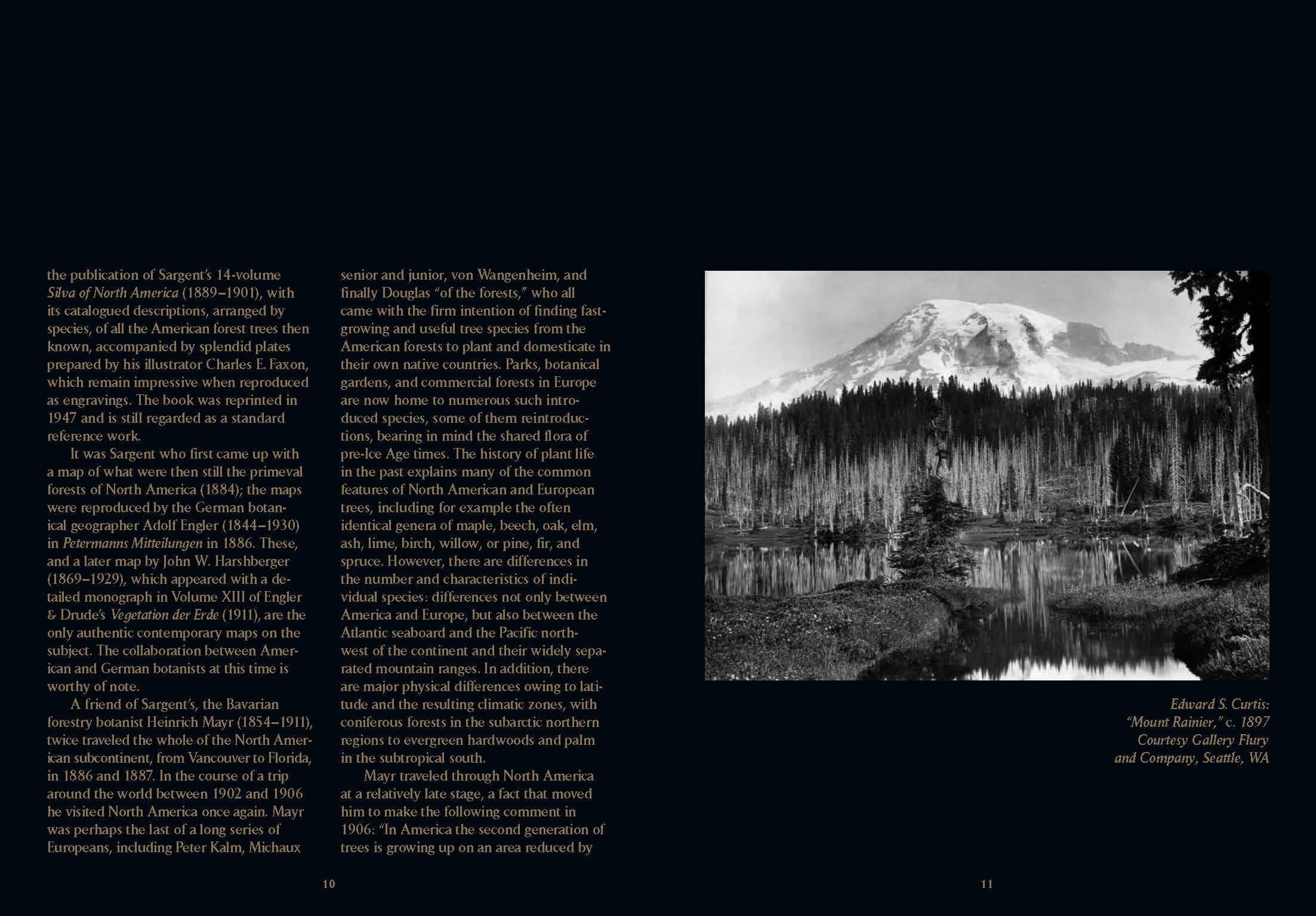 Romeyn B. Hough. The Woodbook. The Complete Plates (English)