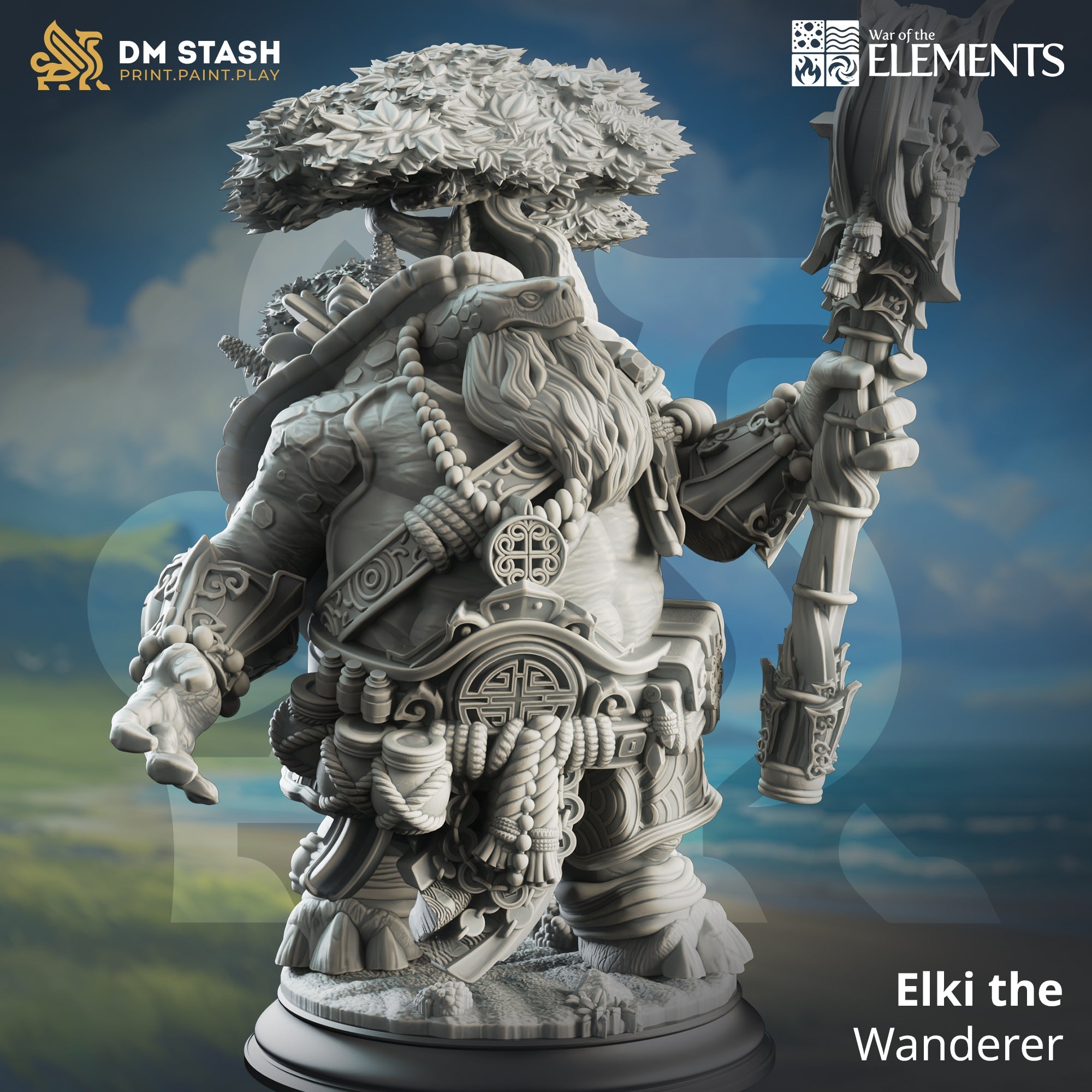 Elki, the Wanderer (Male Tortle Cleric)
