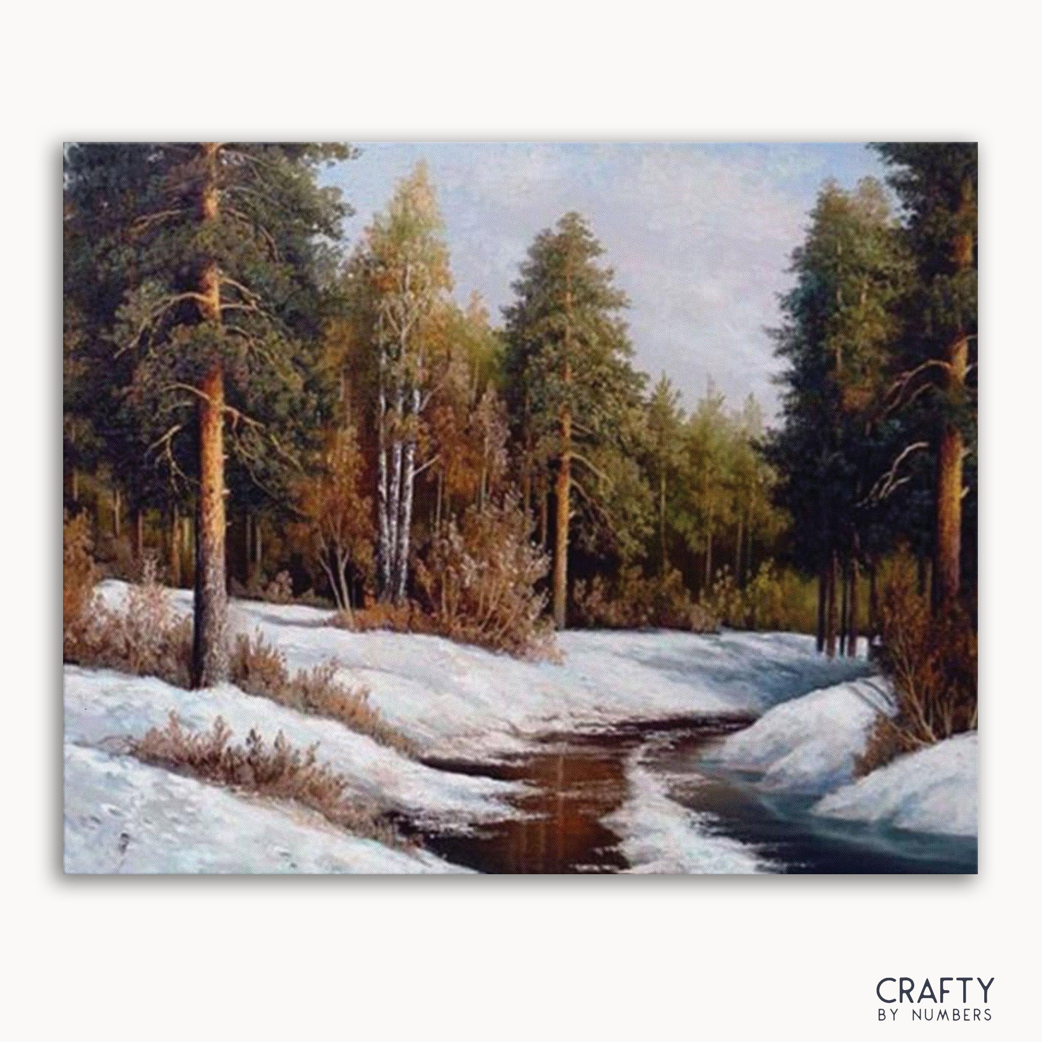 Forest In Winter