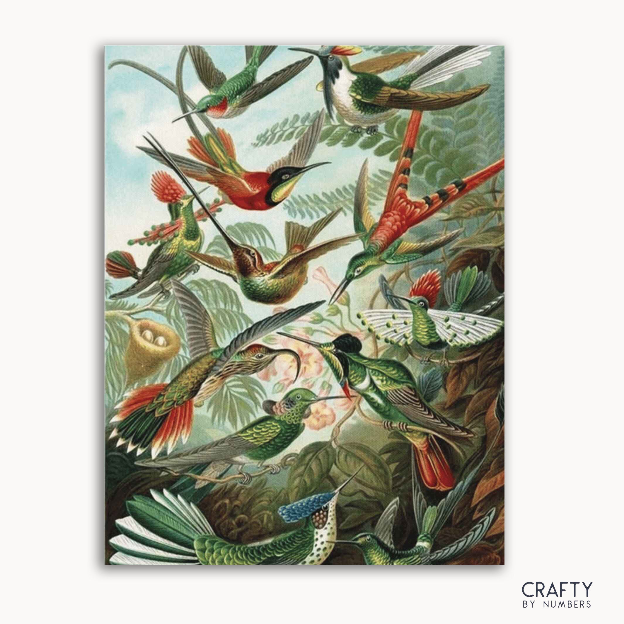 Hummingbirds - Ernst Haeckel