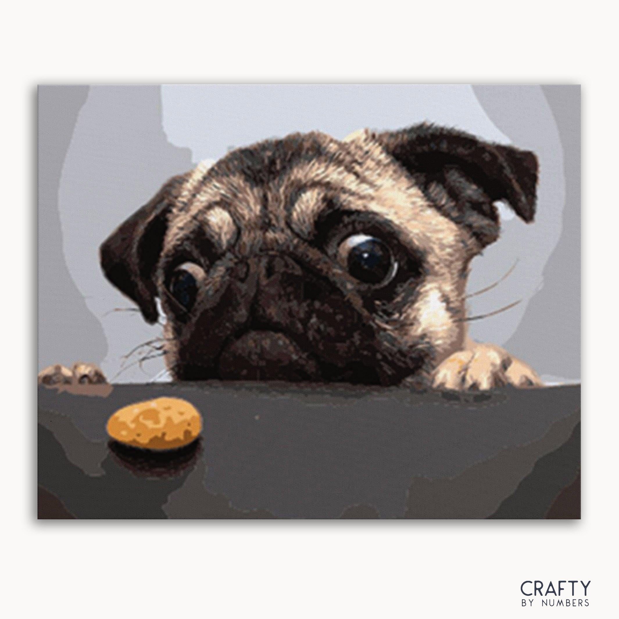 Hungry Pug
