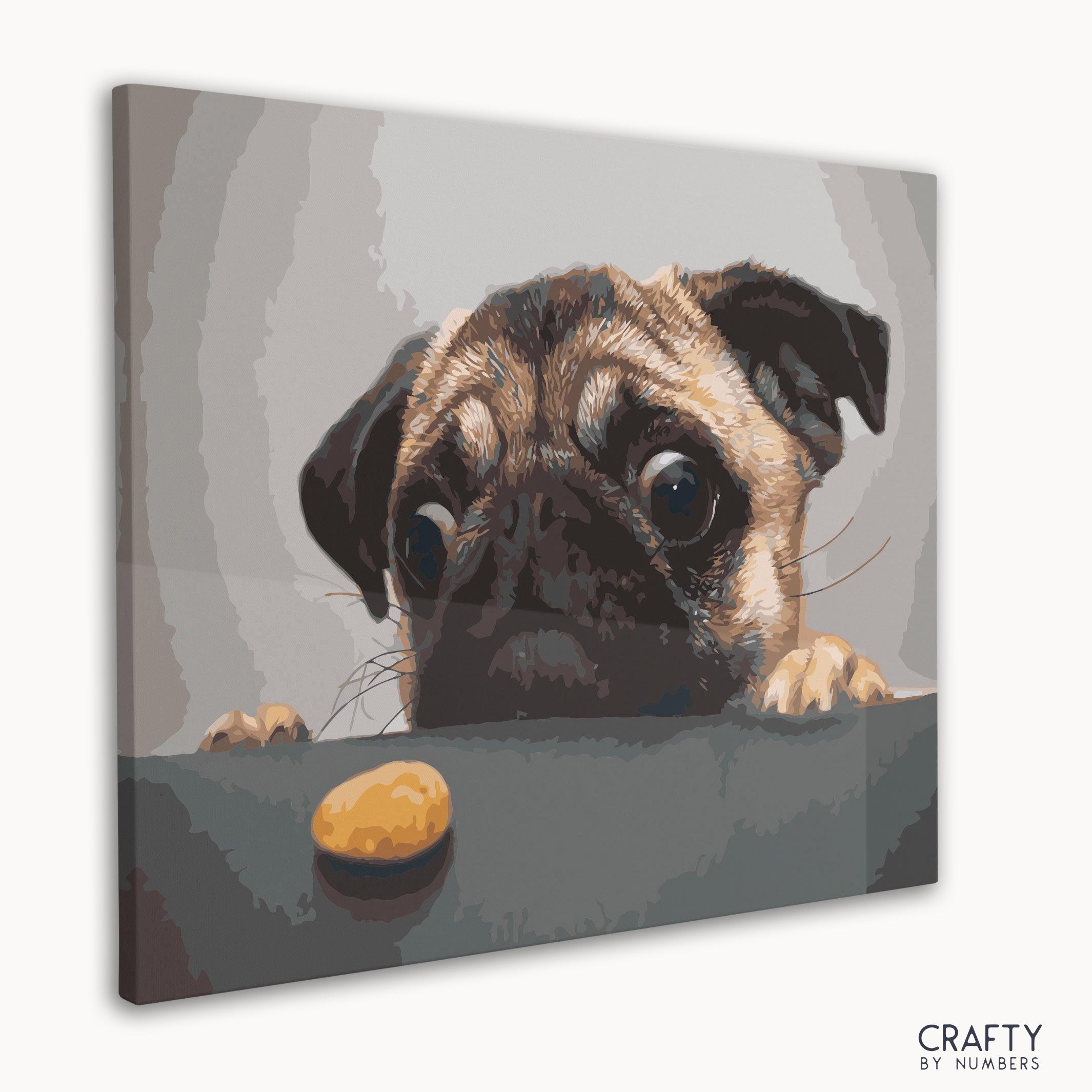 Hungry Pug