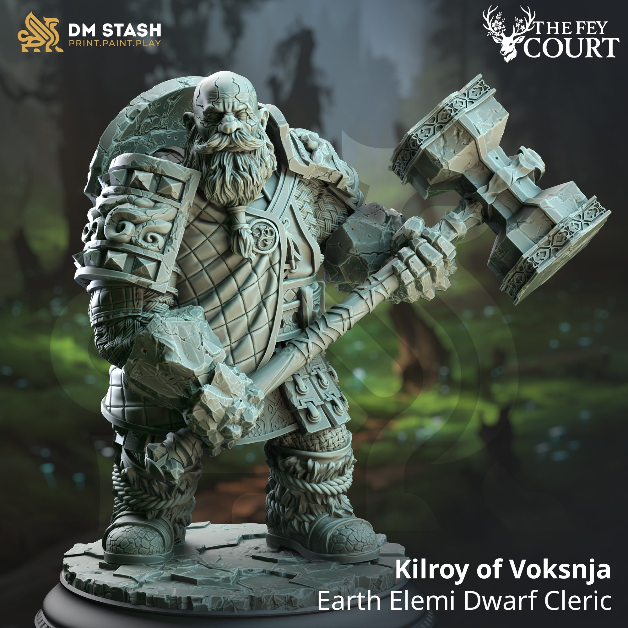 Kilroy of Voksnja (Male Earth Elemi Dwarf Cleric)