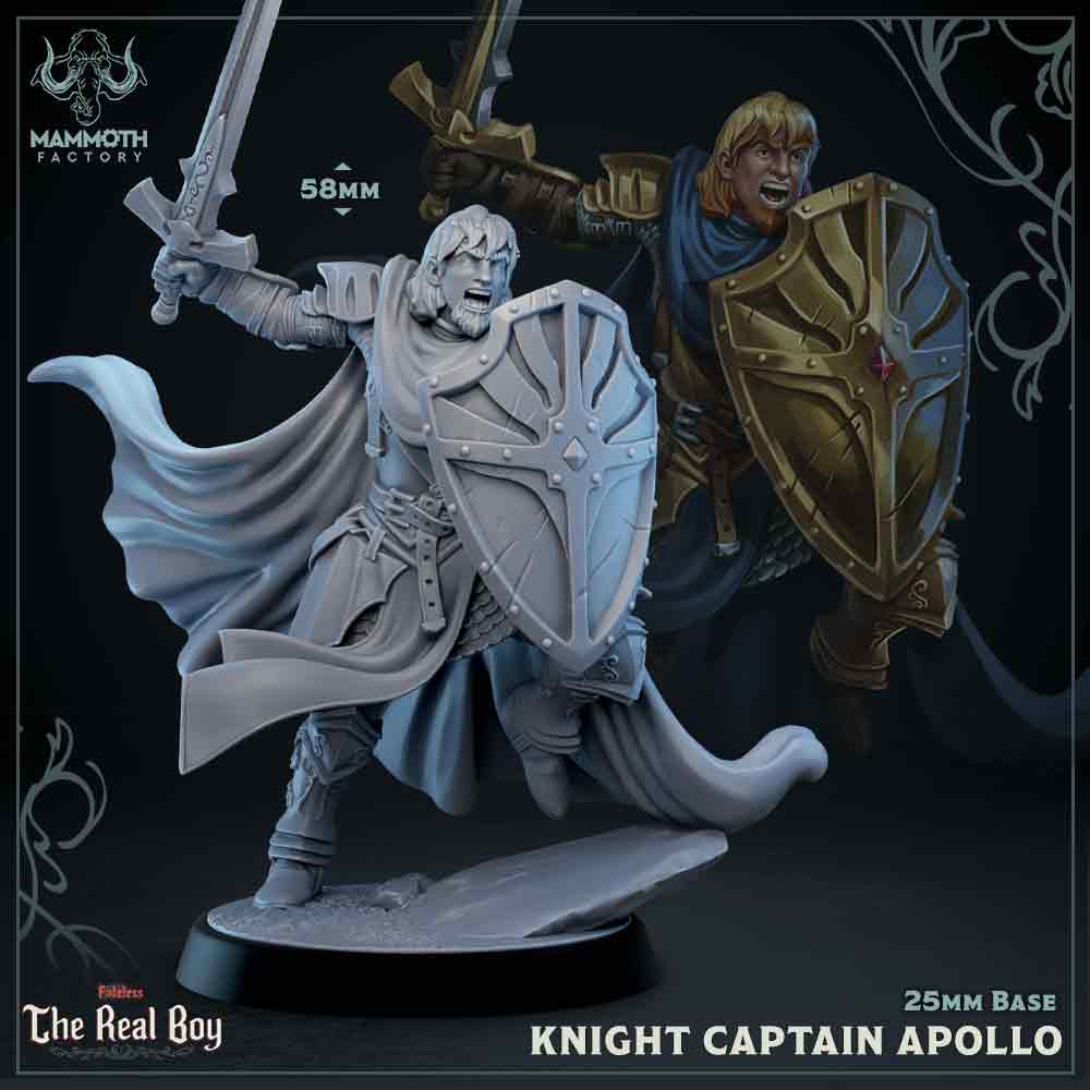 Knight Captain Apollo (Male Human Paladin)