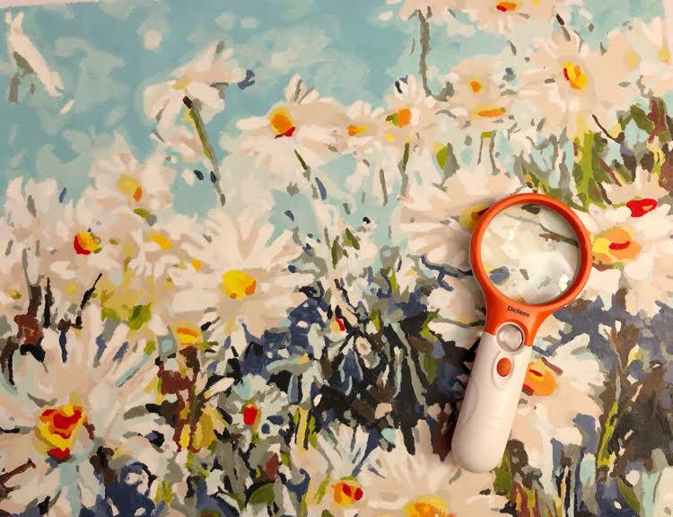 Magnifying Glass 3X & 45X