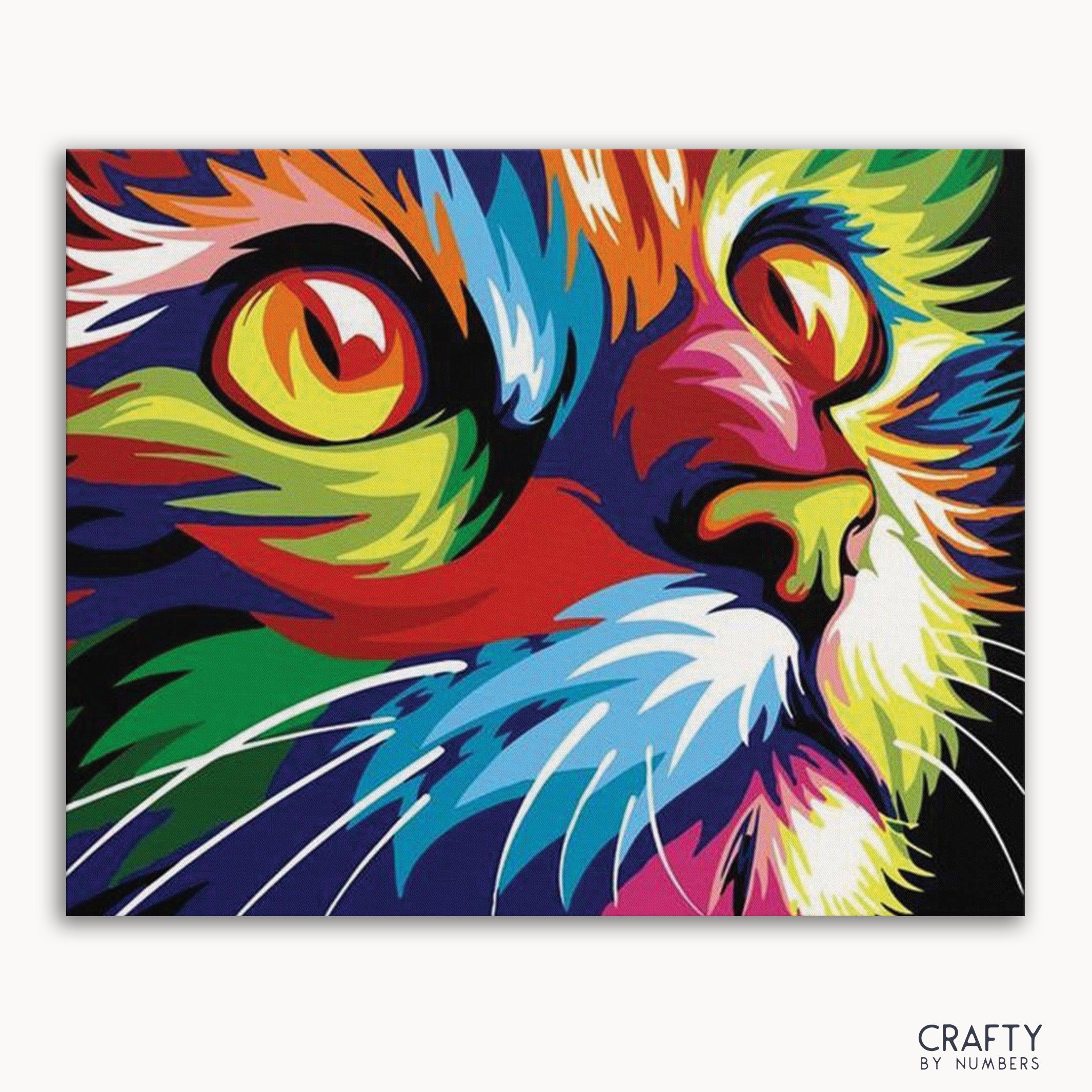 Colorful Cat