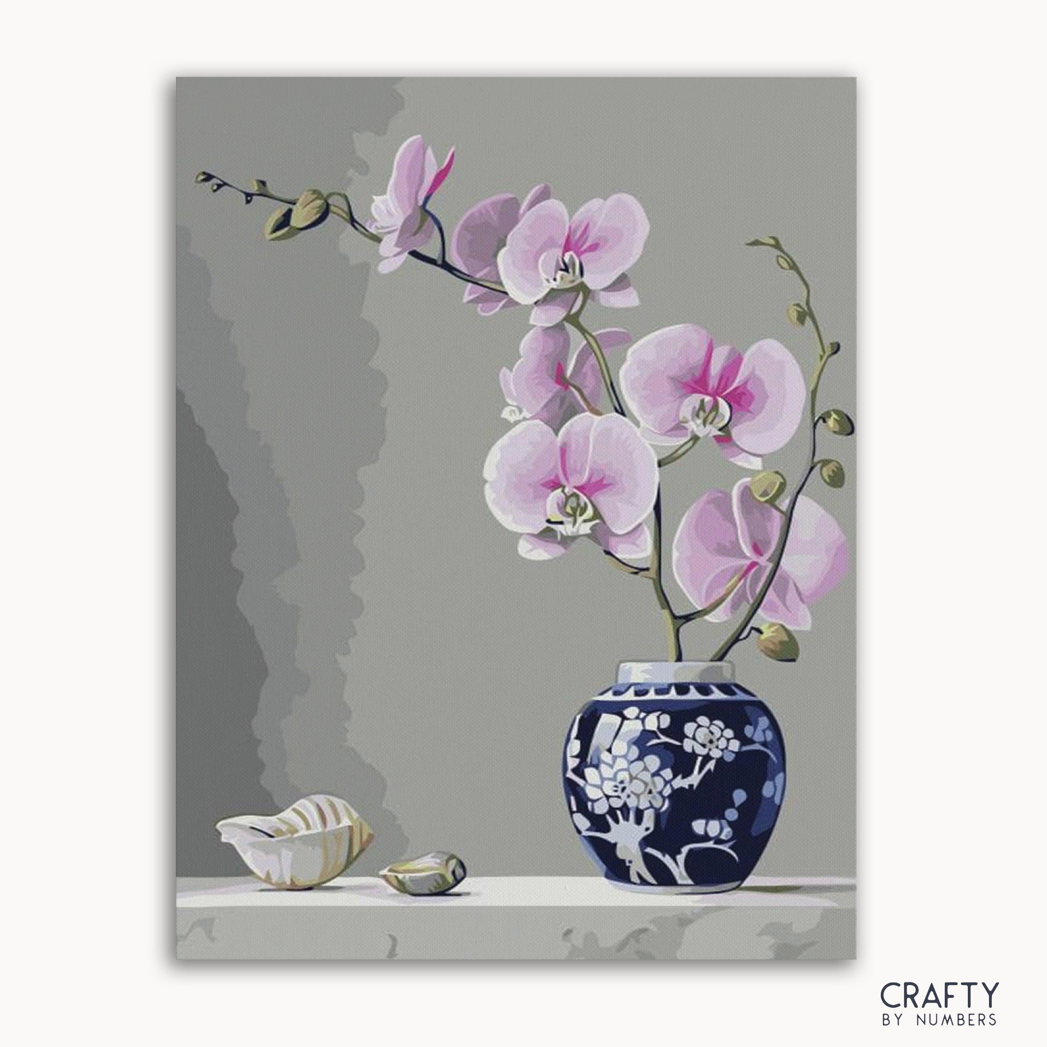 Orchid Flower In Vase