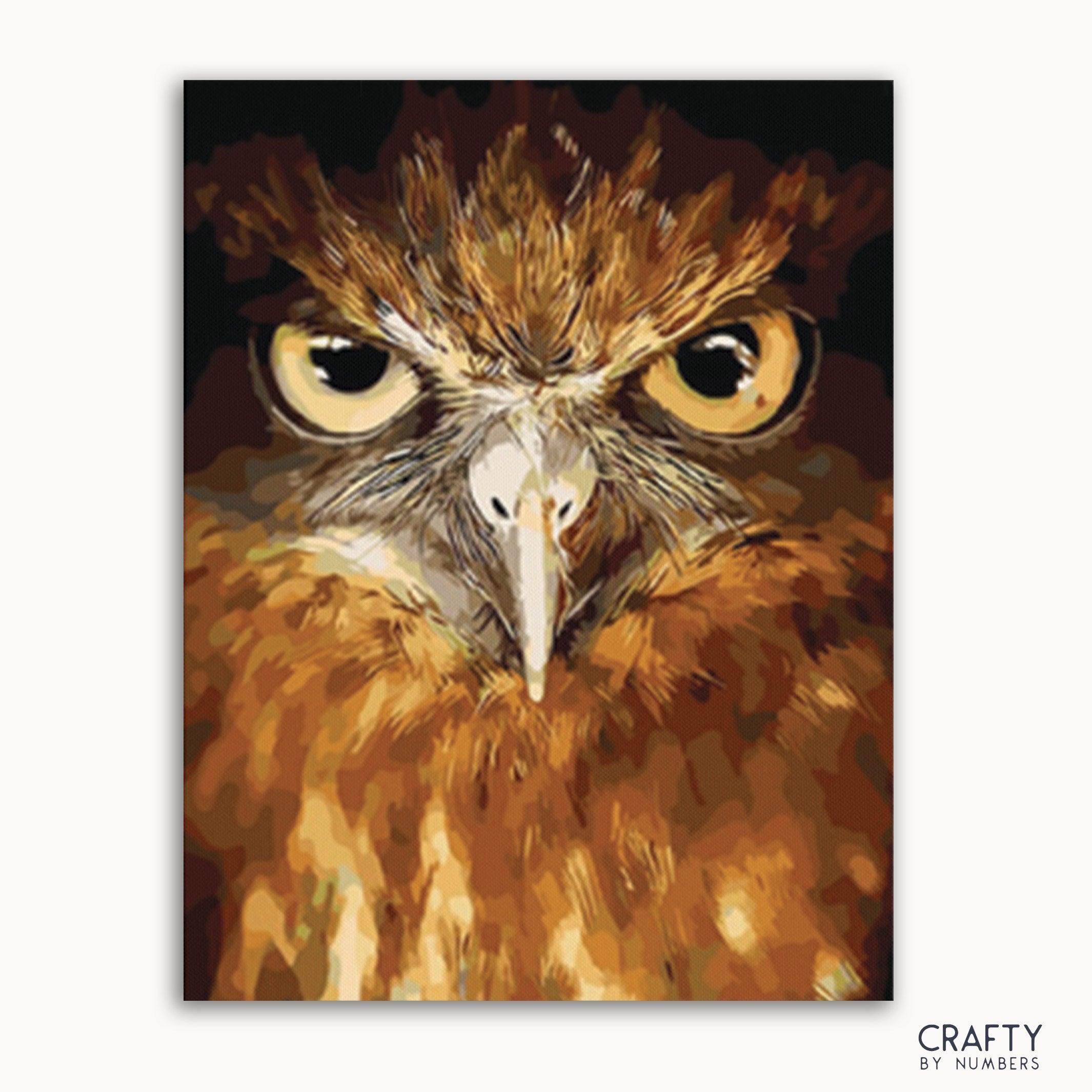 Owl Eyes