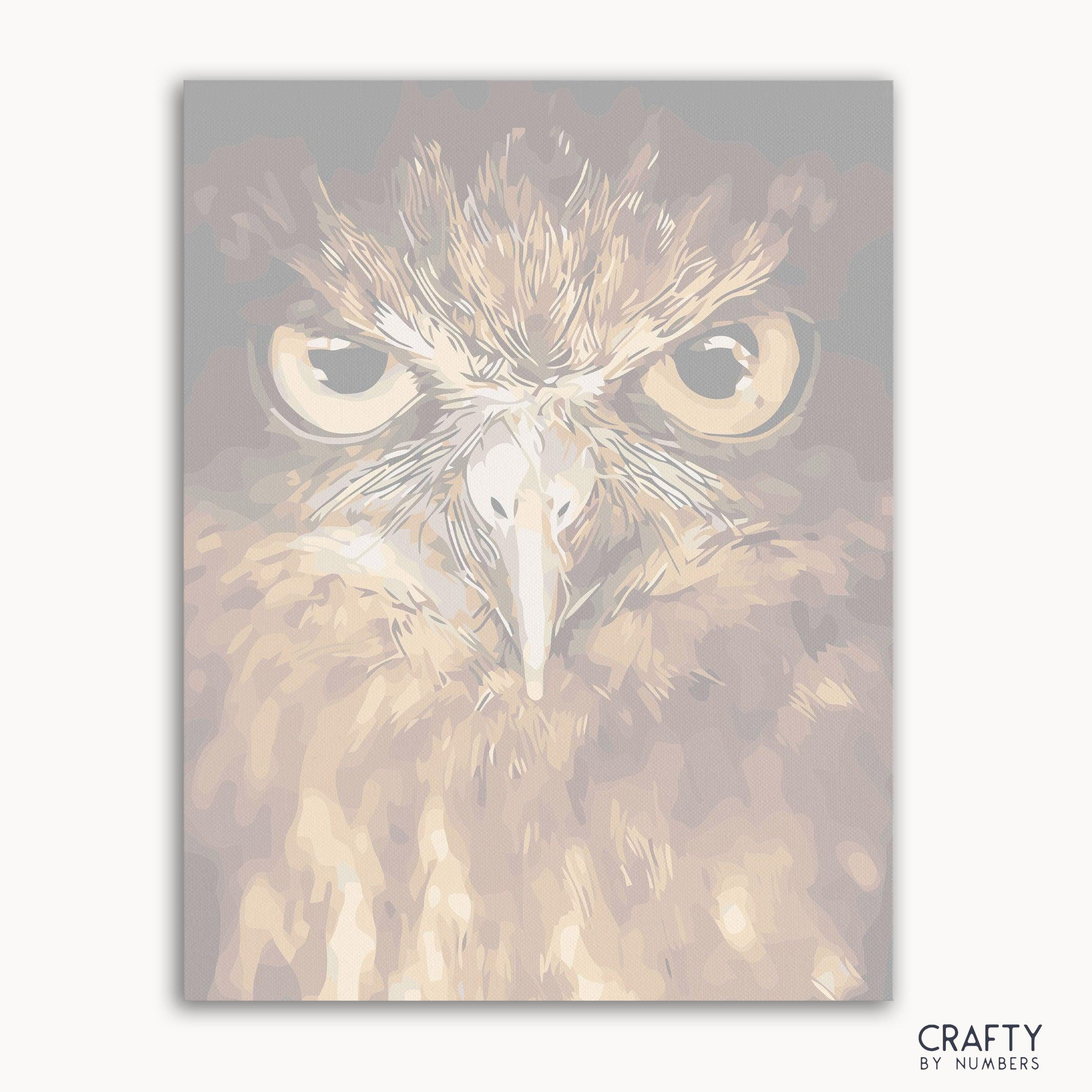 Owl Eyes