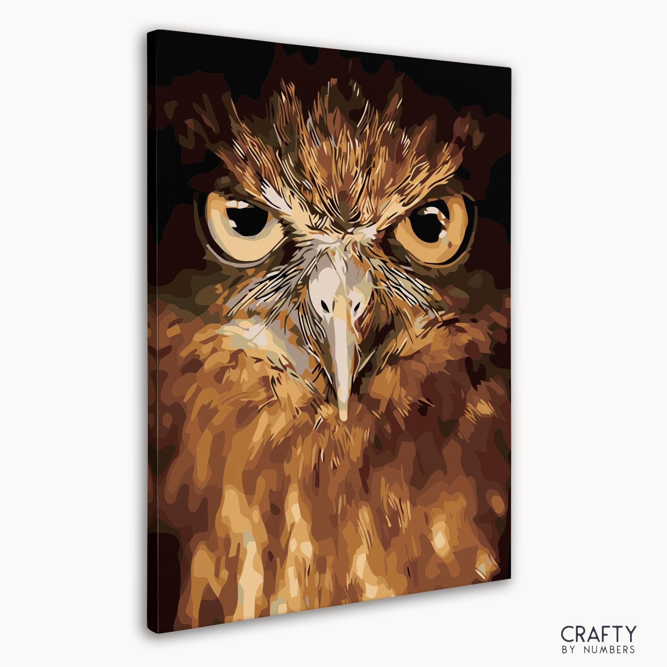 Owl Eyes
