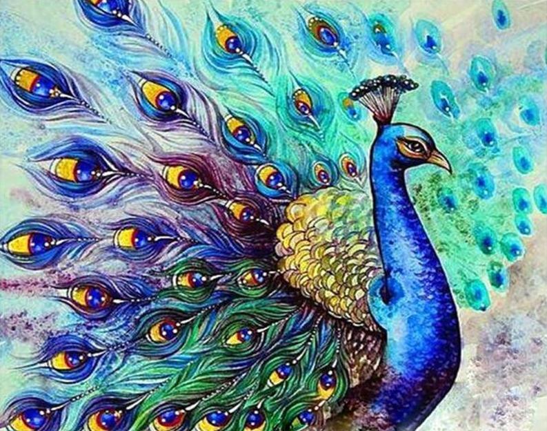 Pavo Real