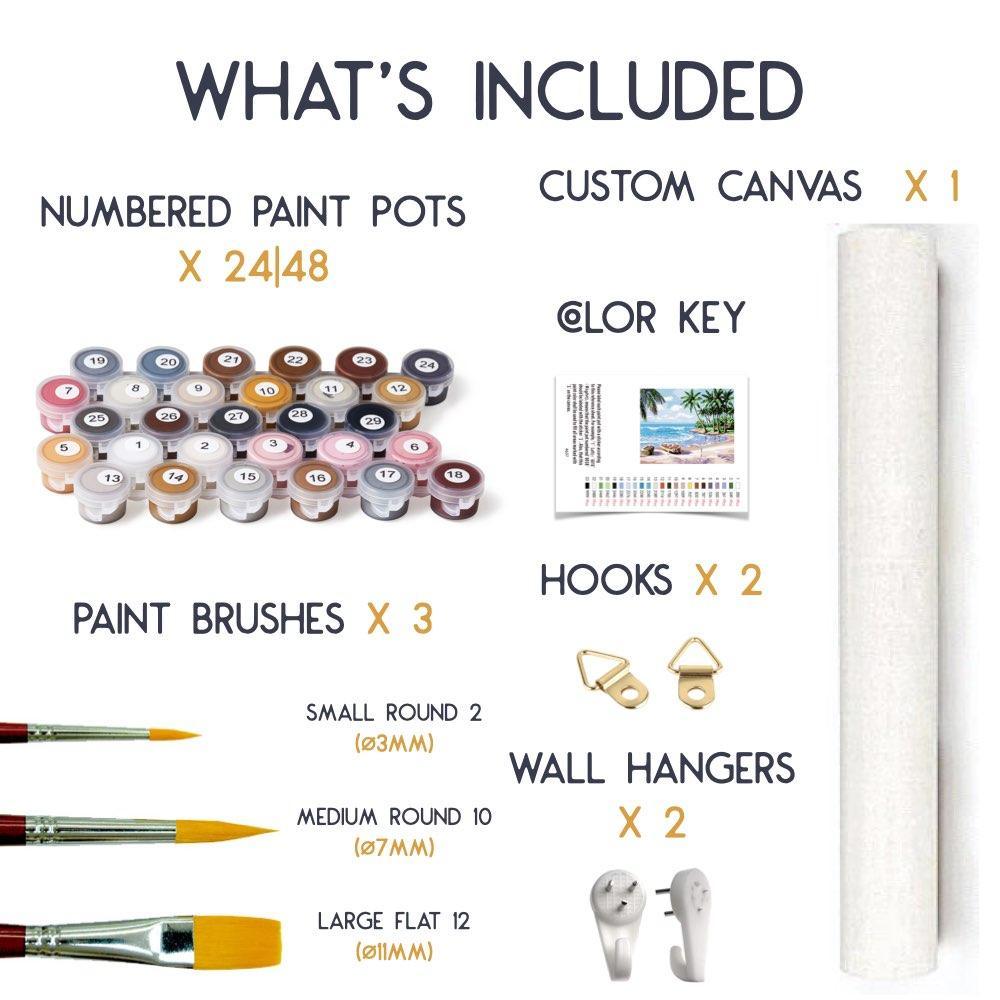 Abstract Value Draw Picasso Paint by numbers