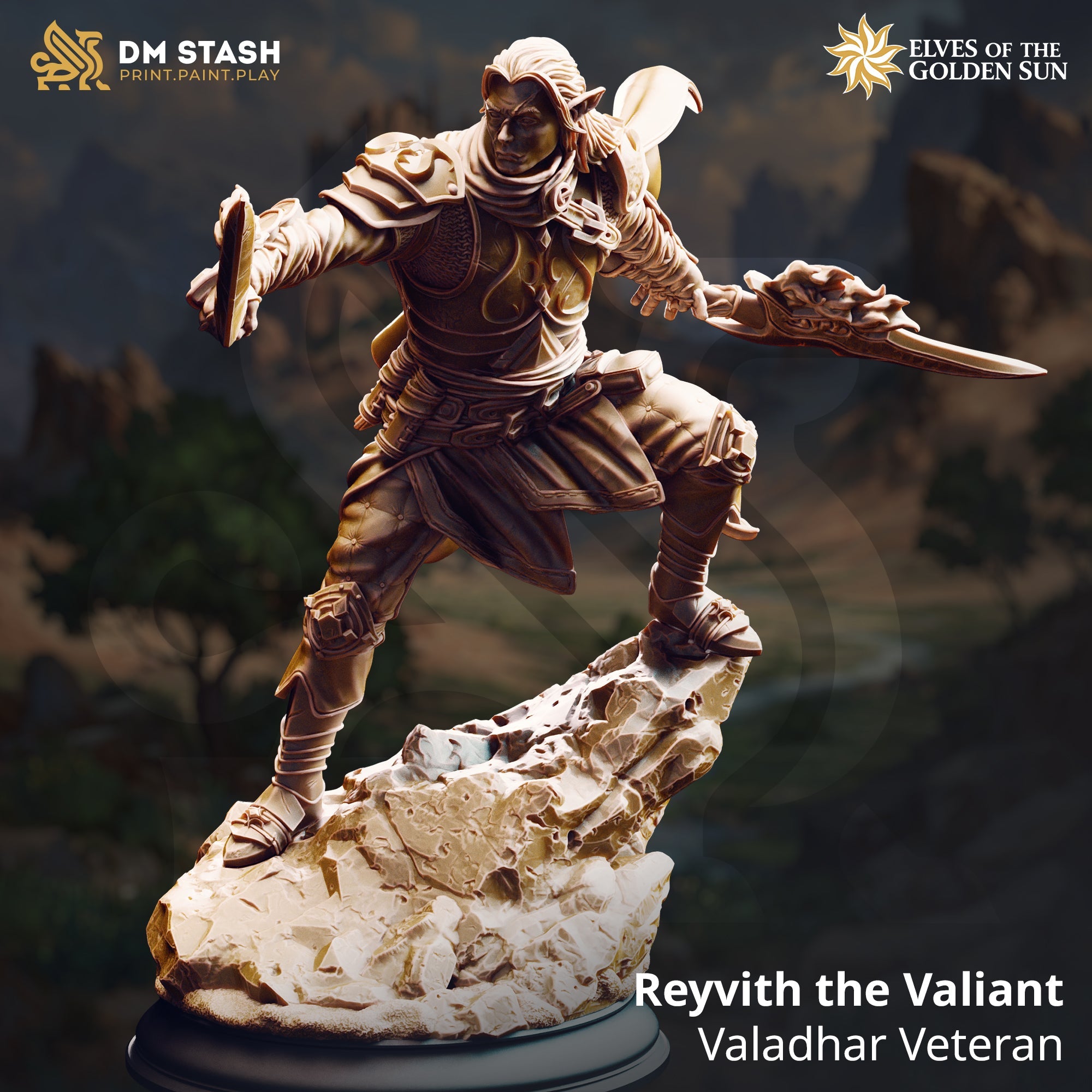 Reyvith the Valiant, Valadhar Veteran (Male Sun Elf Fighter)