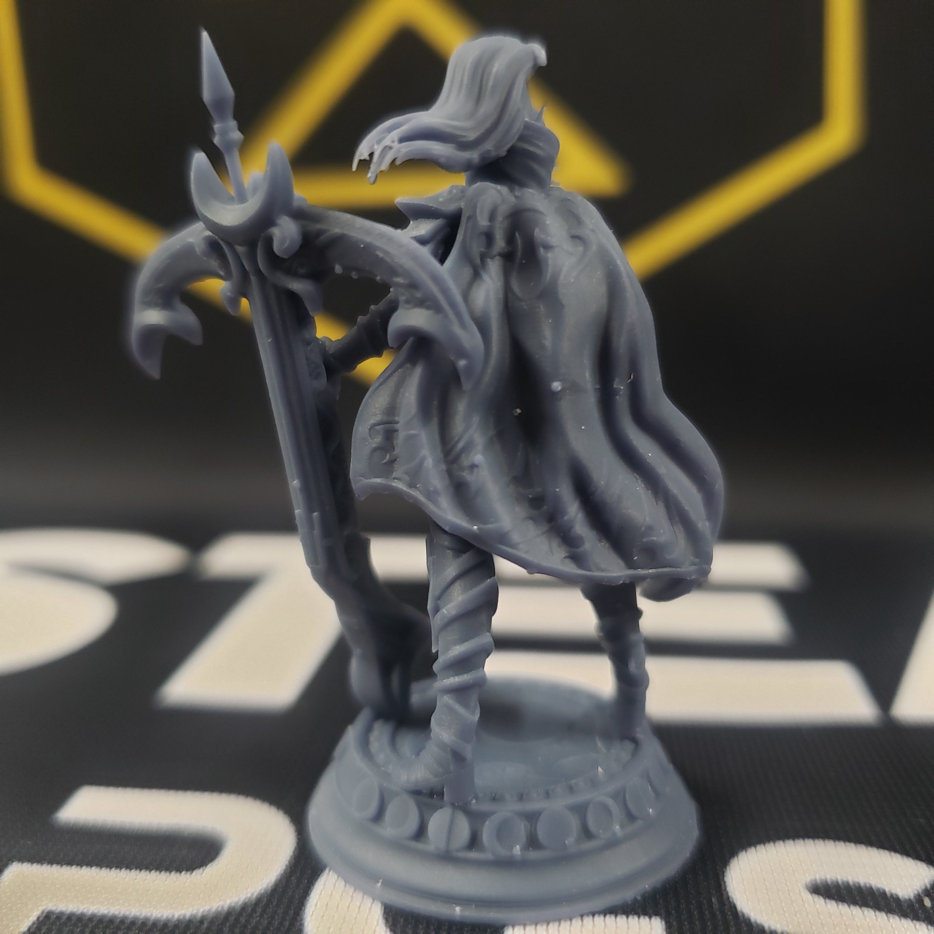 Exrin Nvata, Moonlight Ranger (Female Elf Ranger)