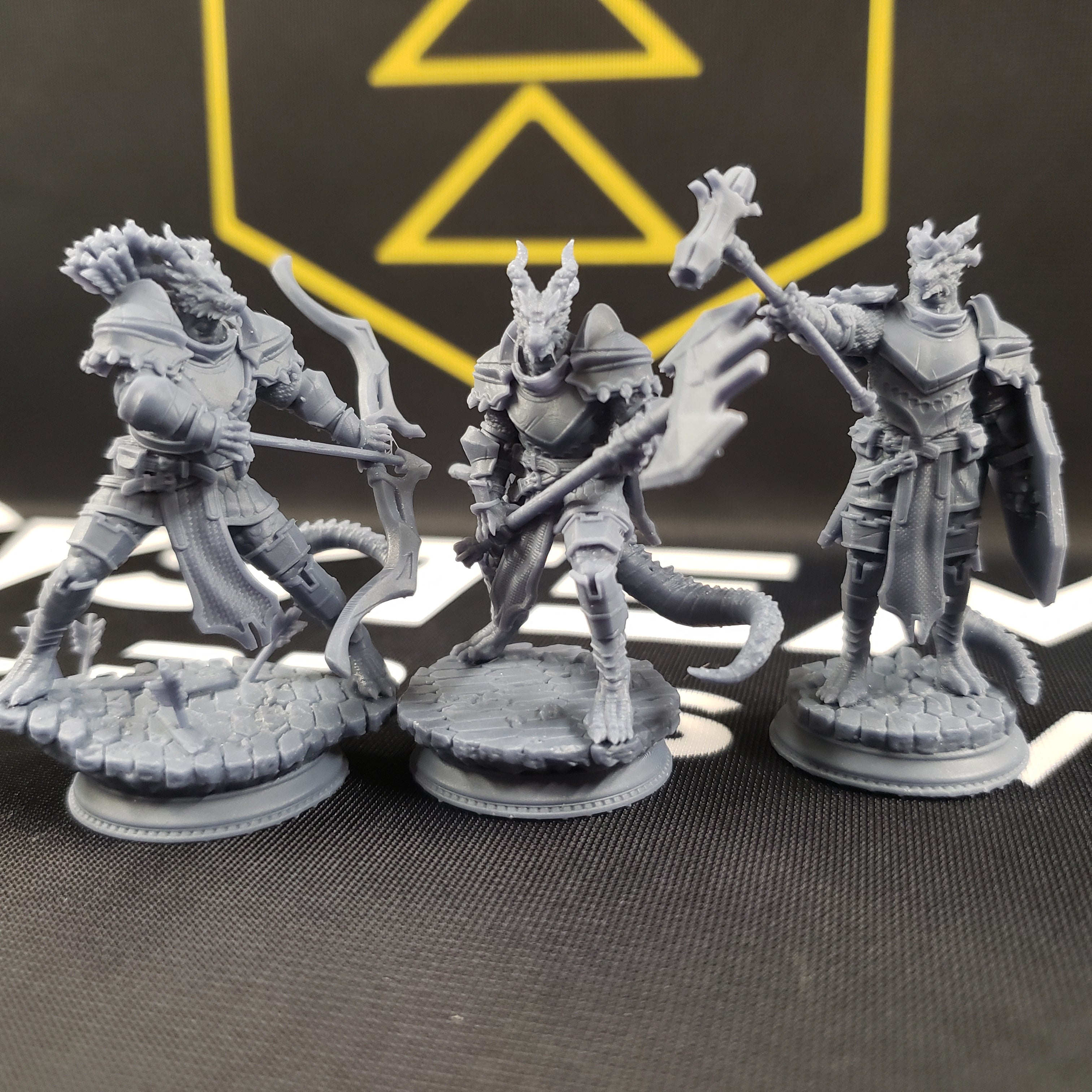 Azmordion's Chosen, Silver Dragonkin Knights (Dragonborn Paladins)