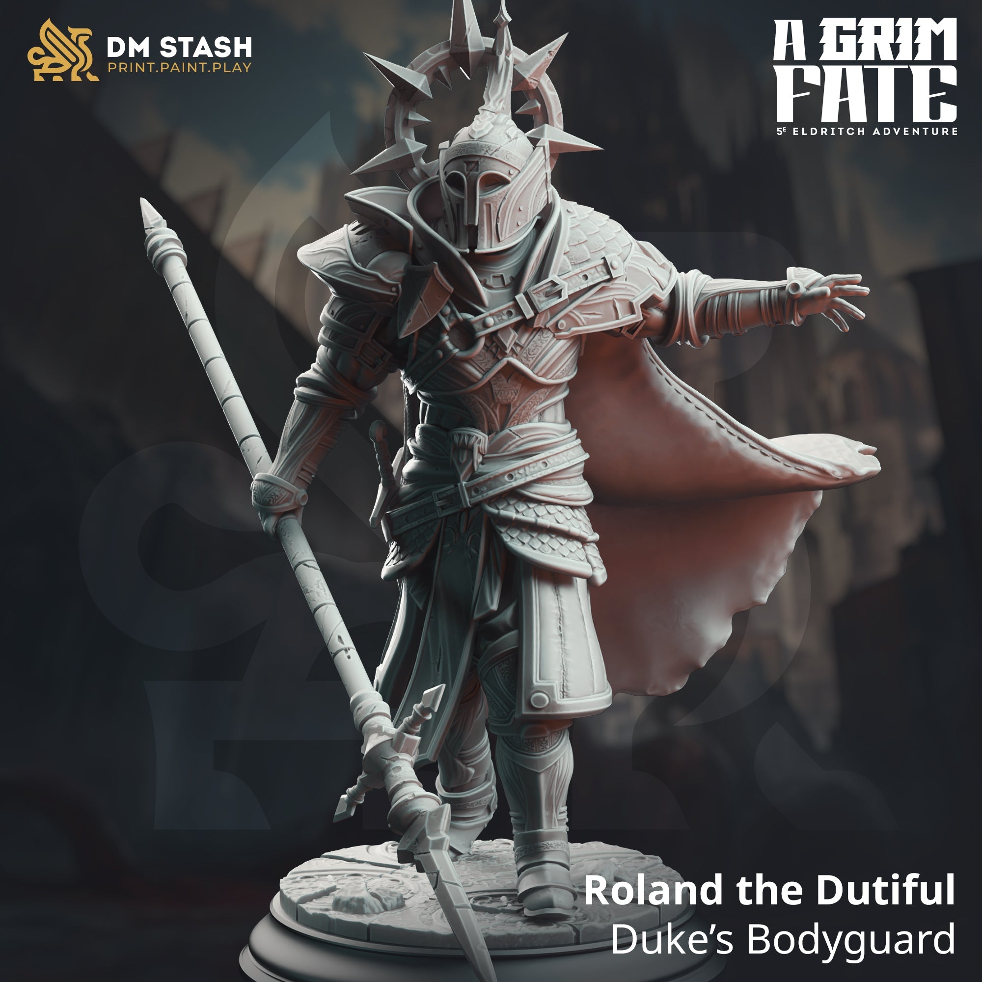 Roland the Dutiful, Duke's Bodyguard (Male Human Paladin)