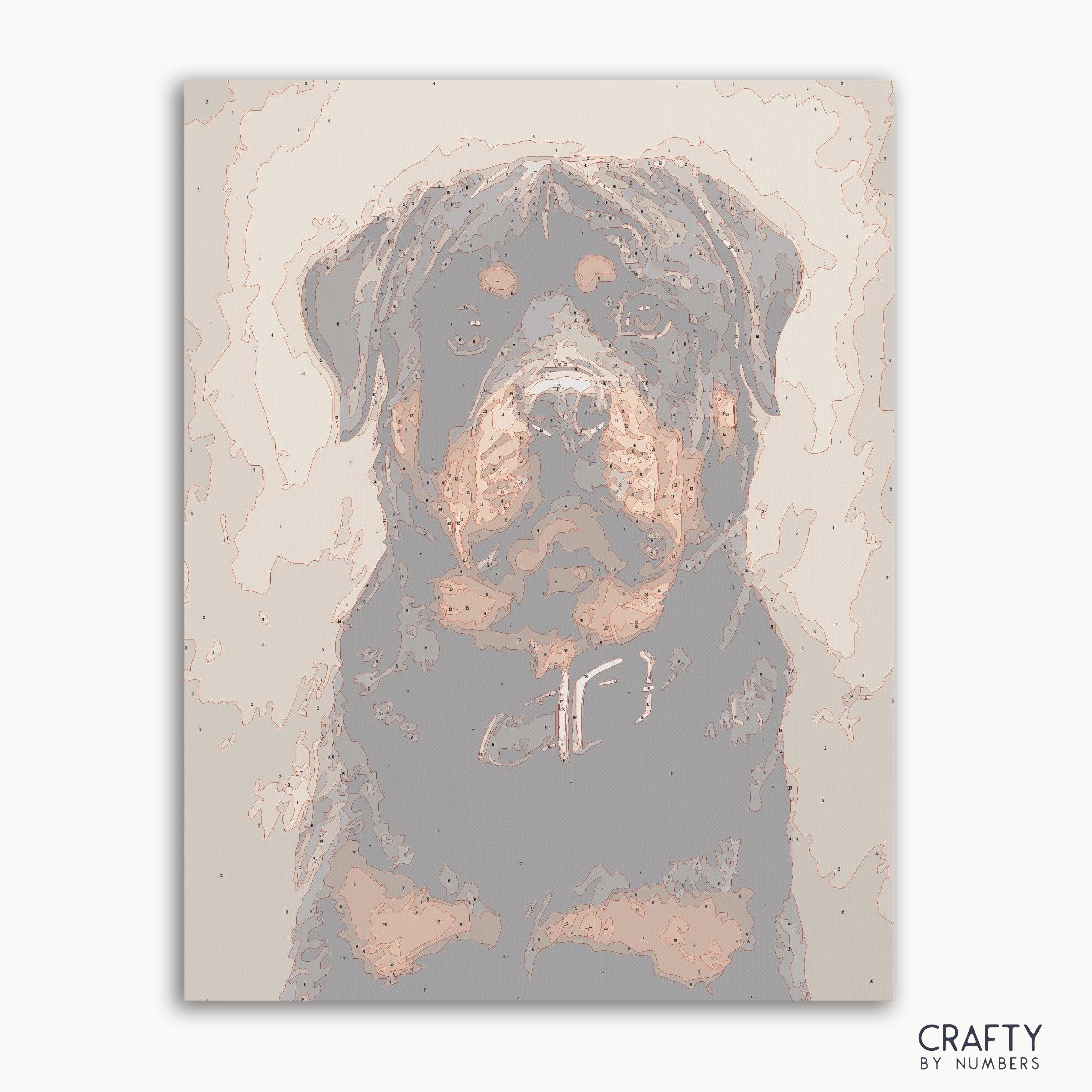 Rottweiler Dog