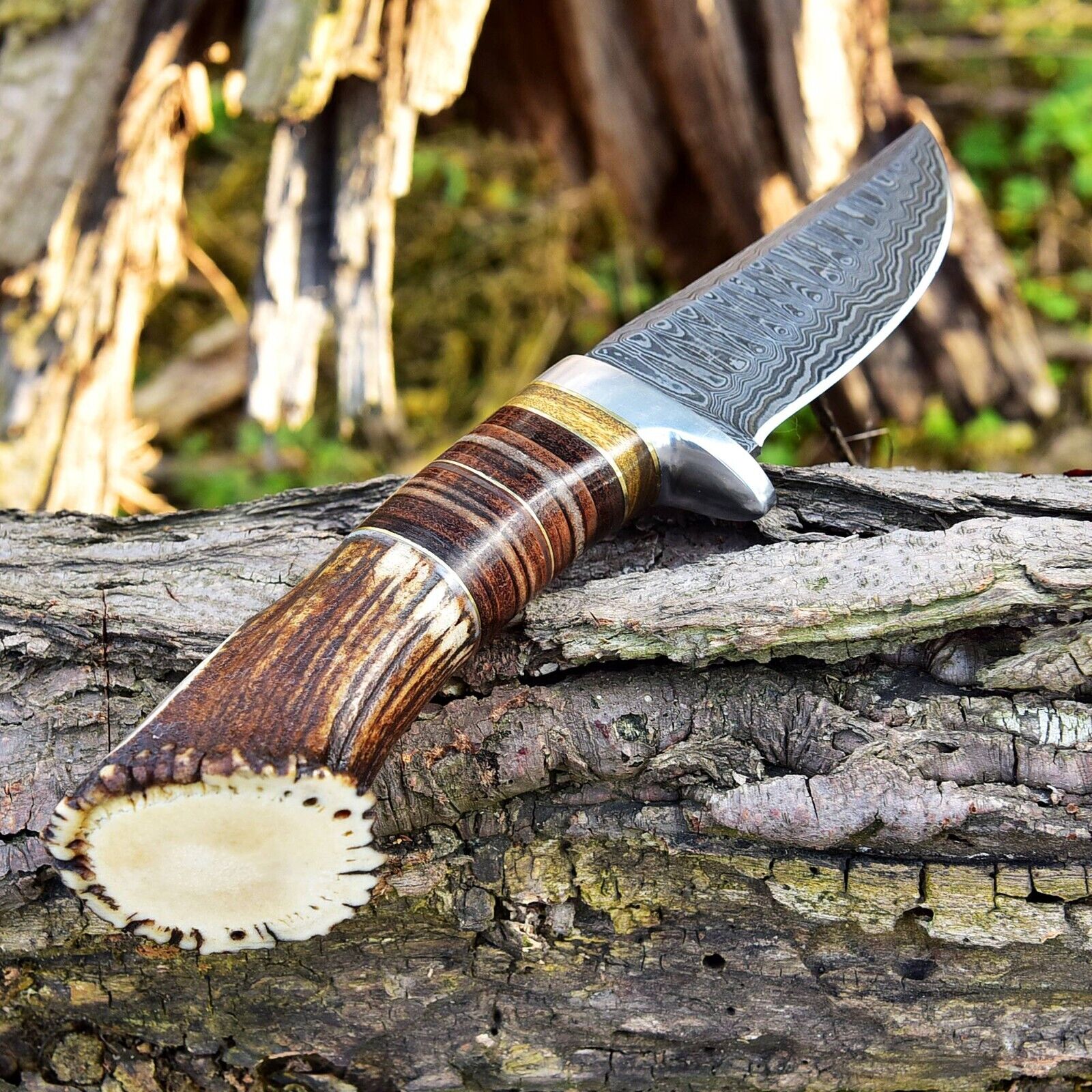 Custom Handmade Damascus Steel Hunting Knife with Rosewood, Stag Horn and Steel Guard Handle - 9 Inches by KBS Knives Store