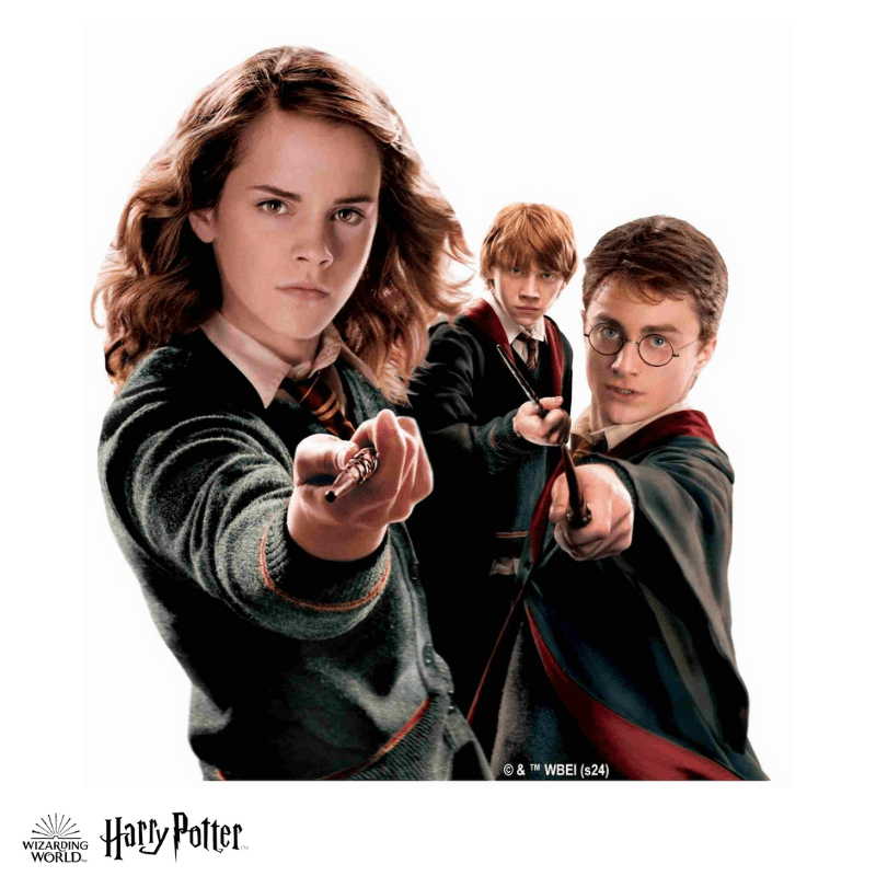 Harry Potter - The Hogwarts Heroes Wooden Jigsaw Puzzle
