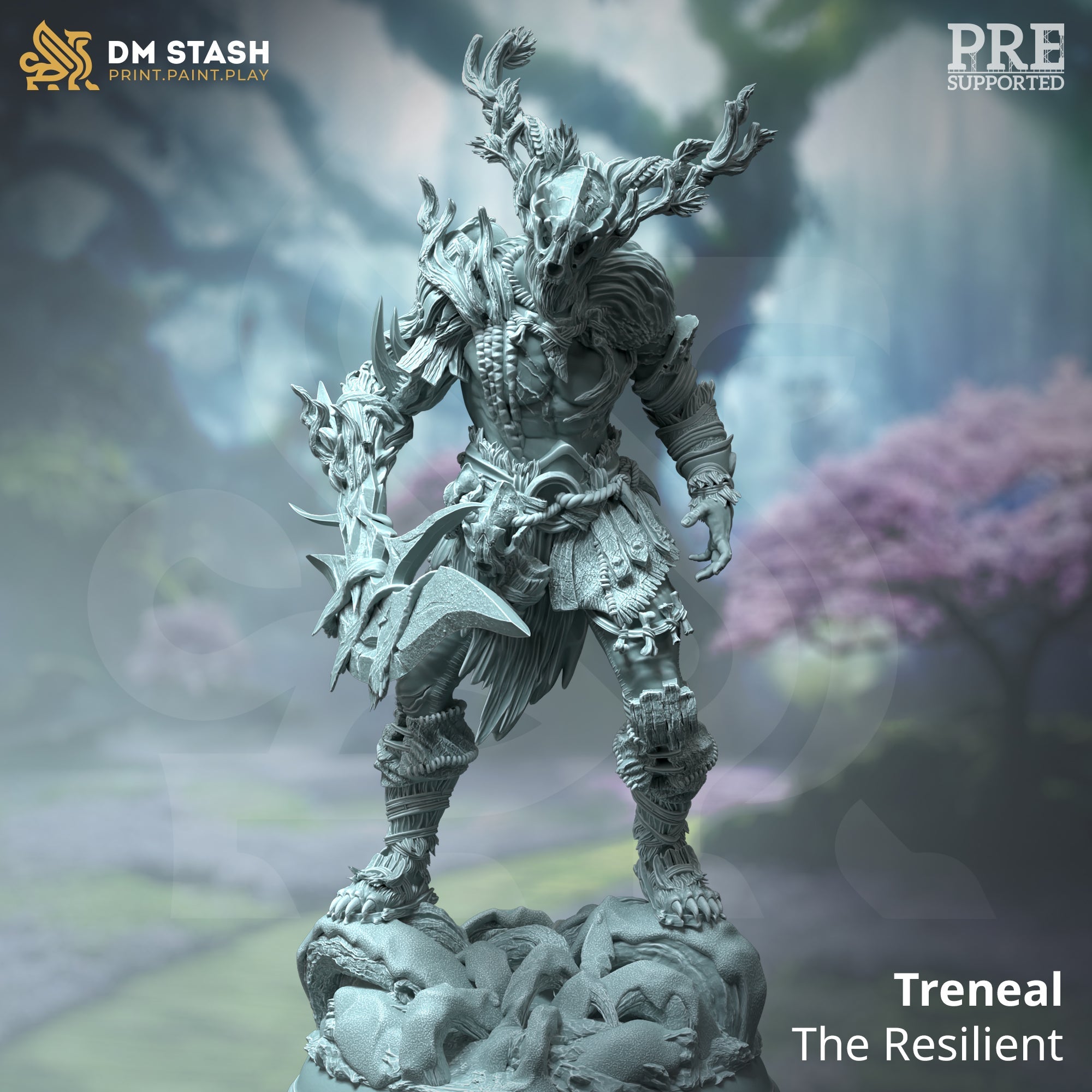 Treneal, the Resilient (Male Human Druid)